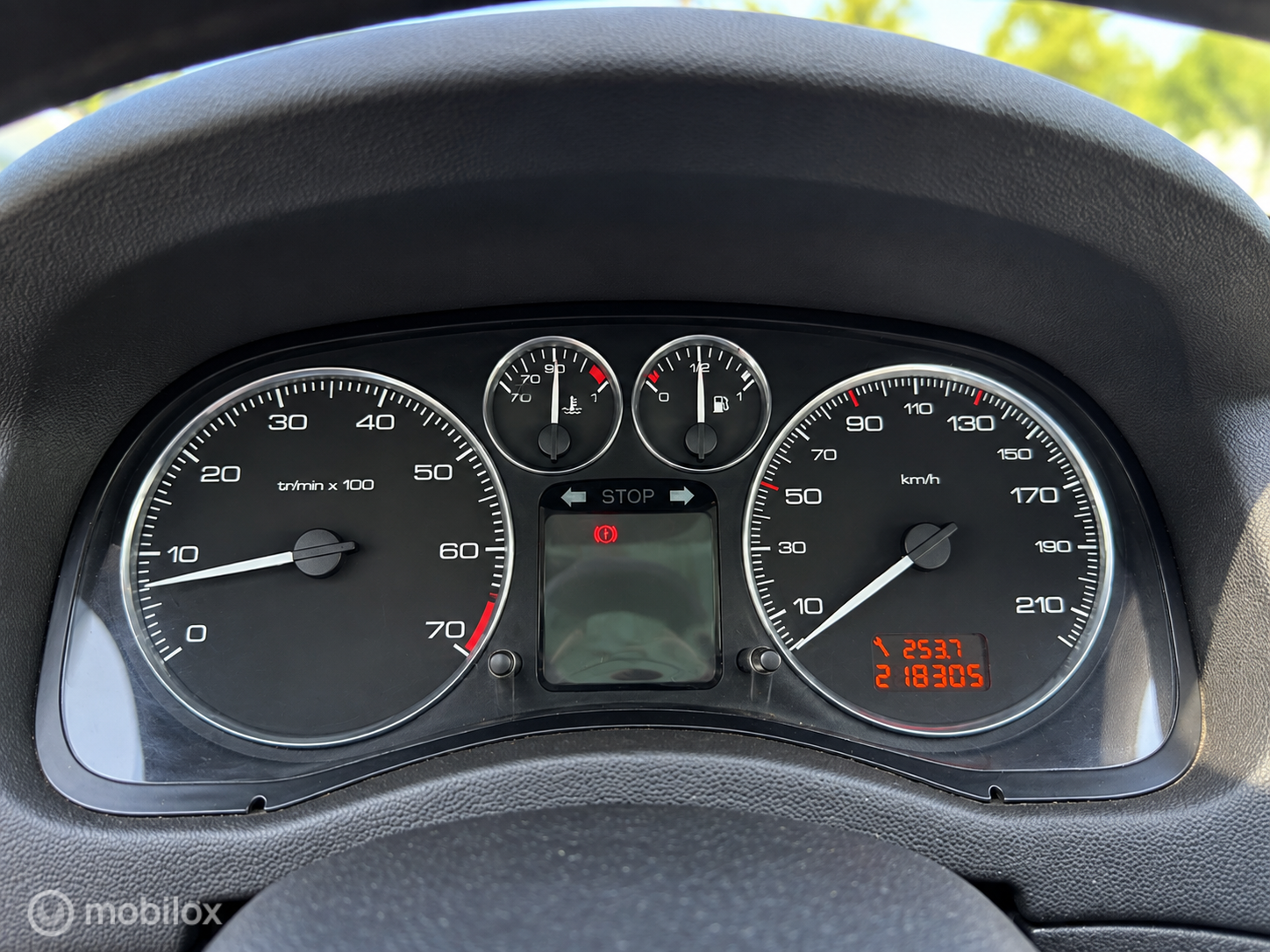 Foto van Peugeot 307