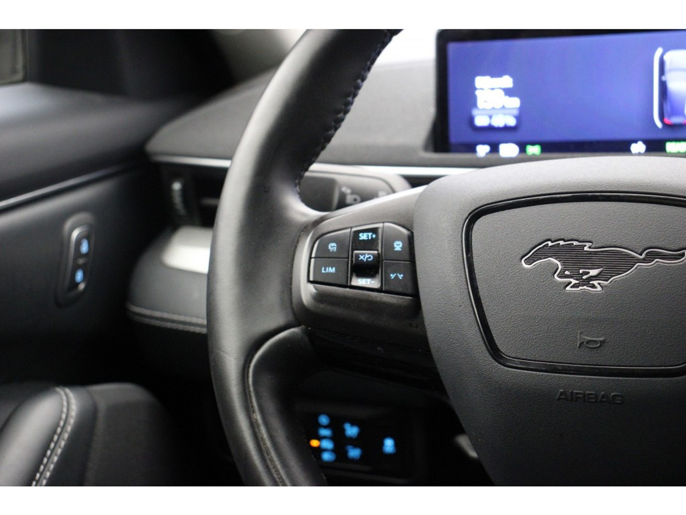 Foto van Ford Mustang Mach-e