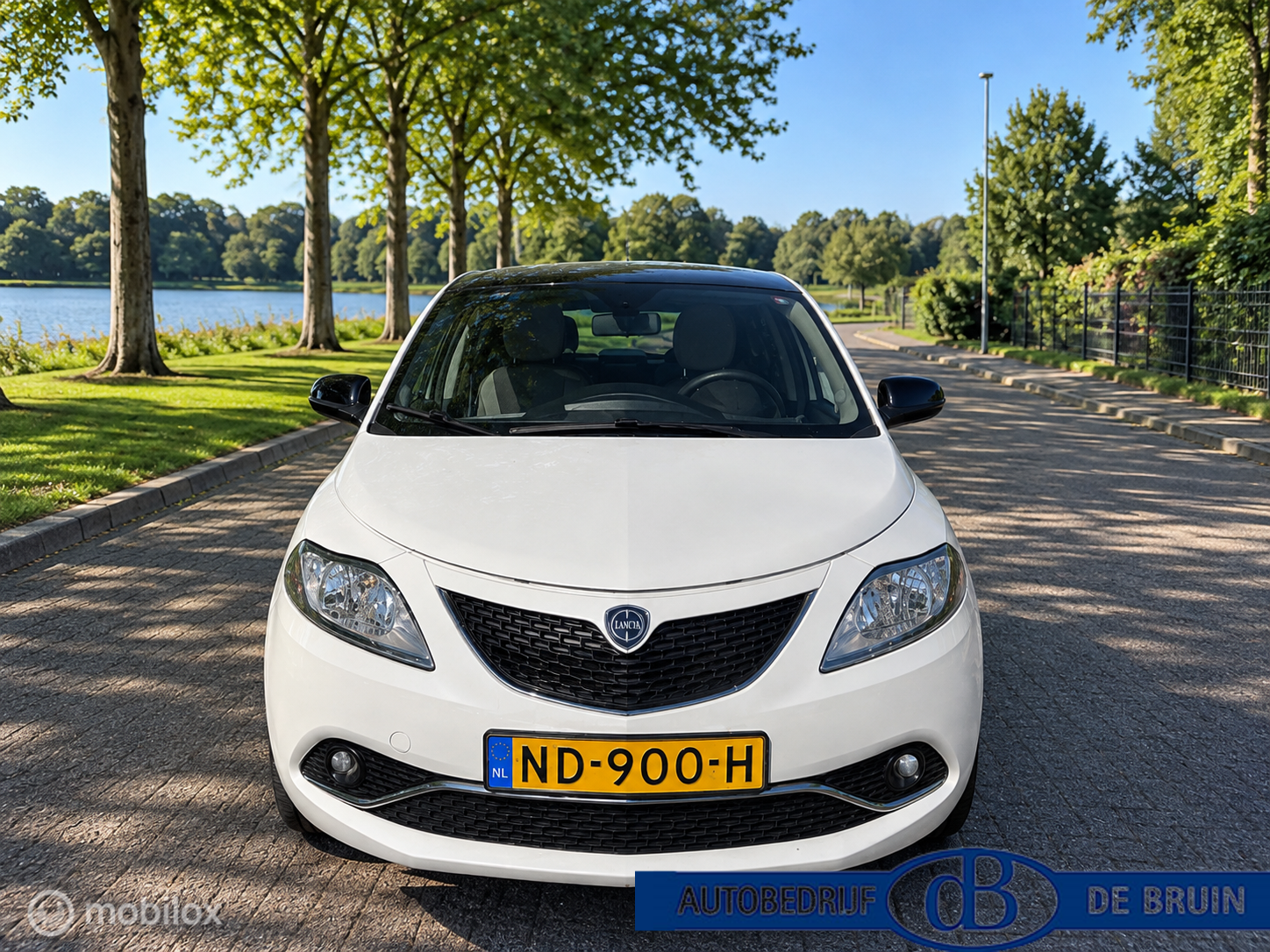 Foto van Lancia Ypsilon