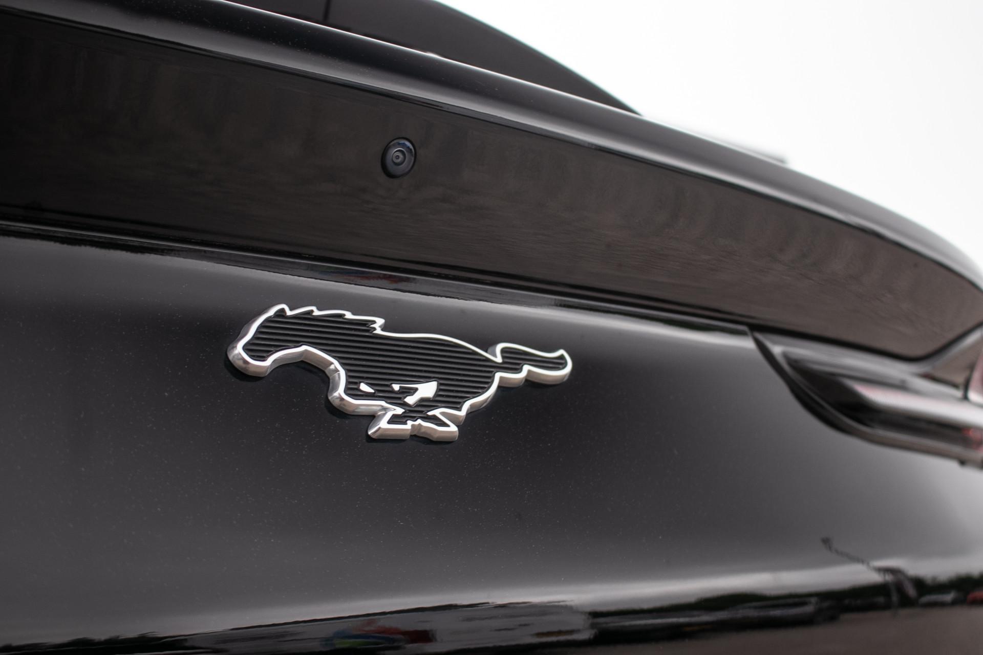 Foto van Ford Mustang Mach-e
