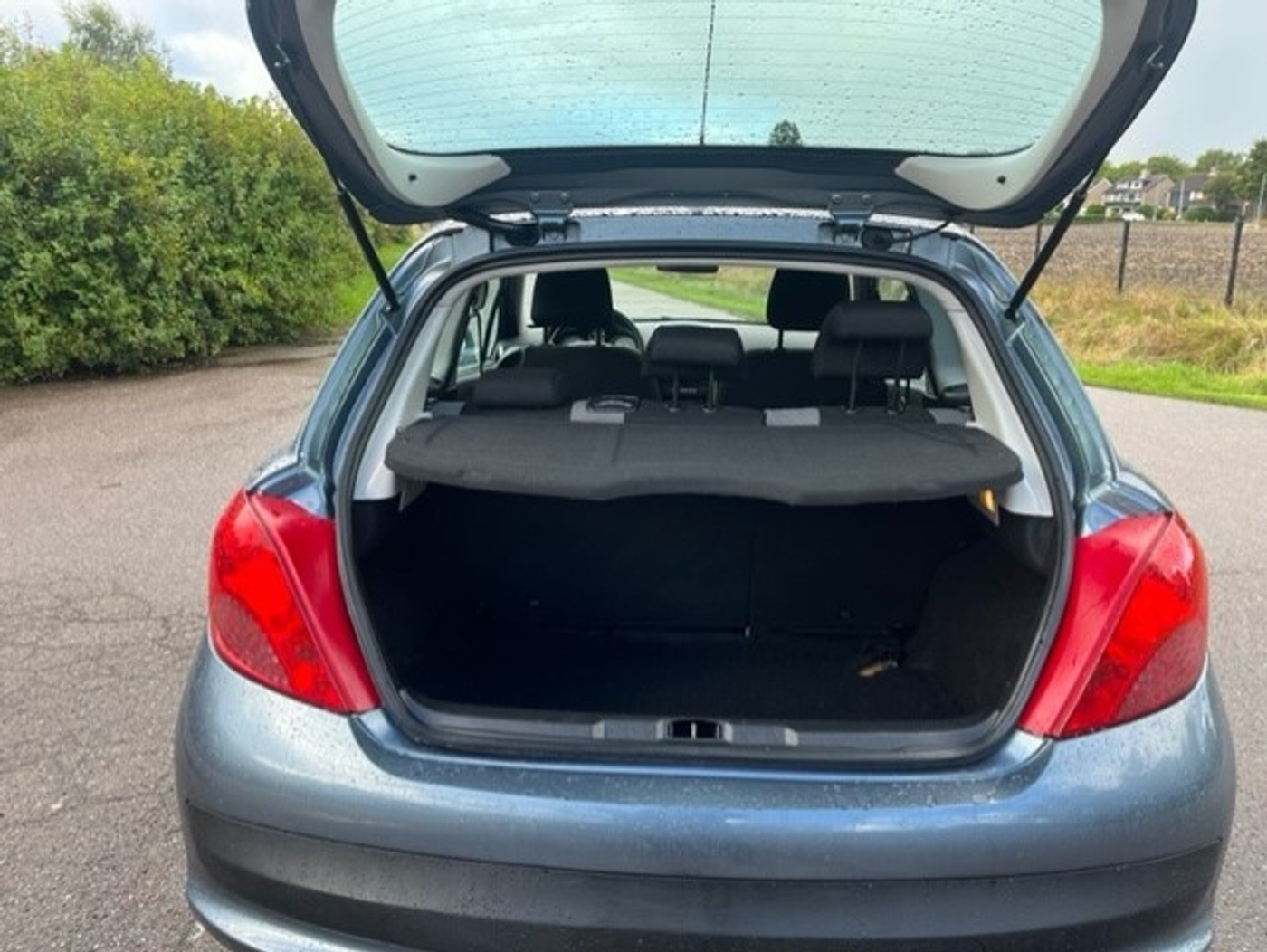 Foto van Peugeot 207