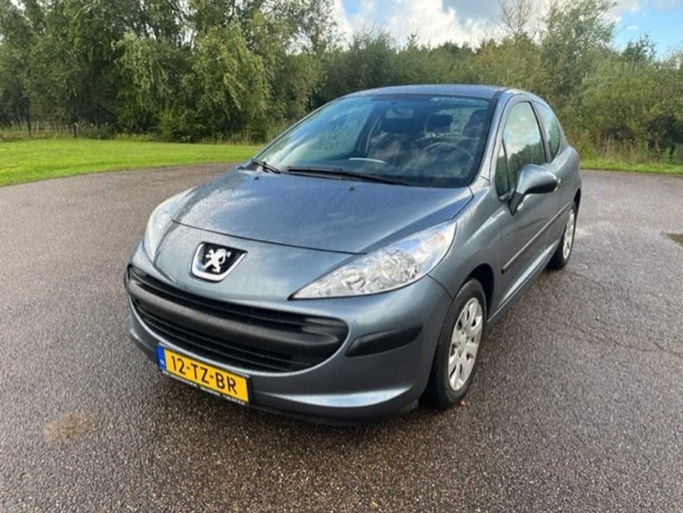 Foto van Peugeot 207