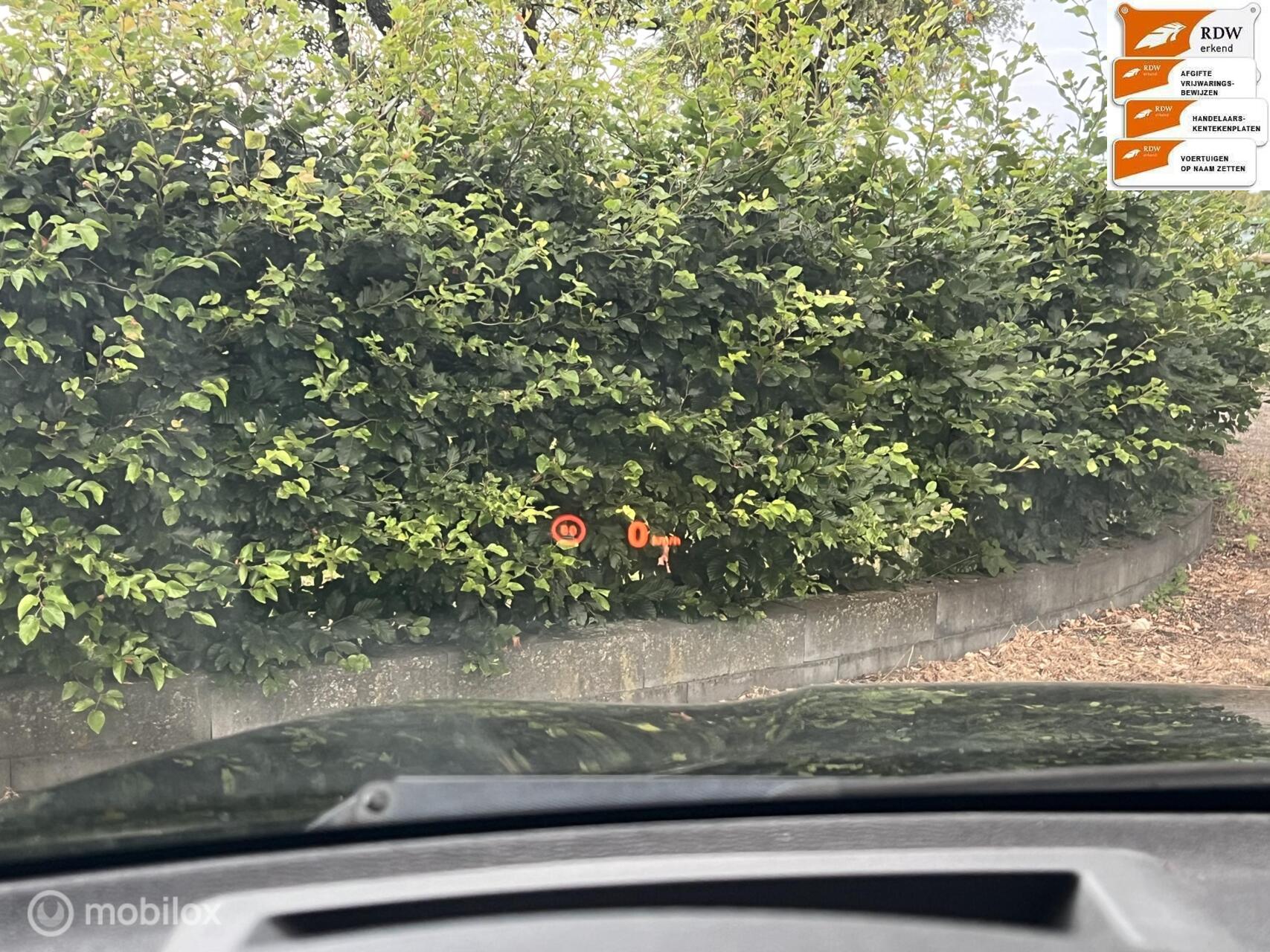 Foto van BMW X Rheihe