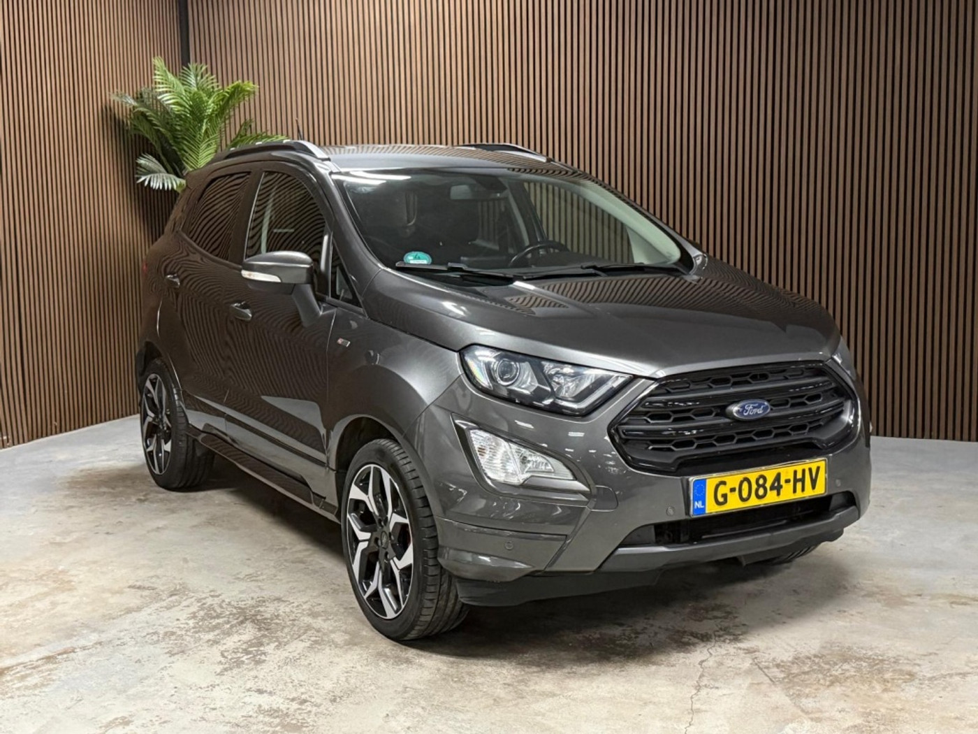 Foto van Ford Ecosport