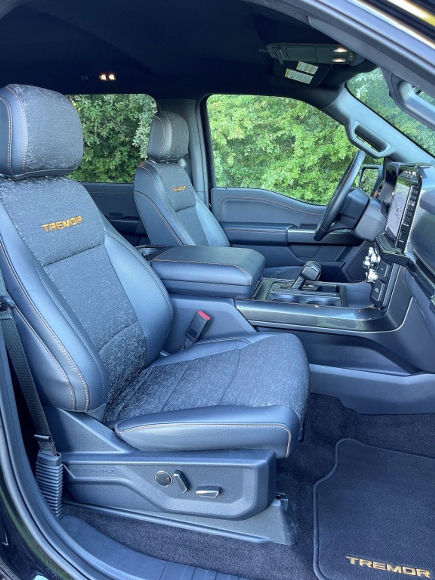 Foto van Ford F150