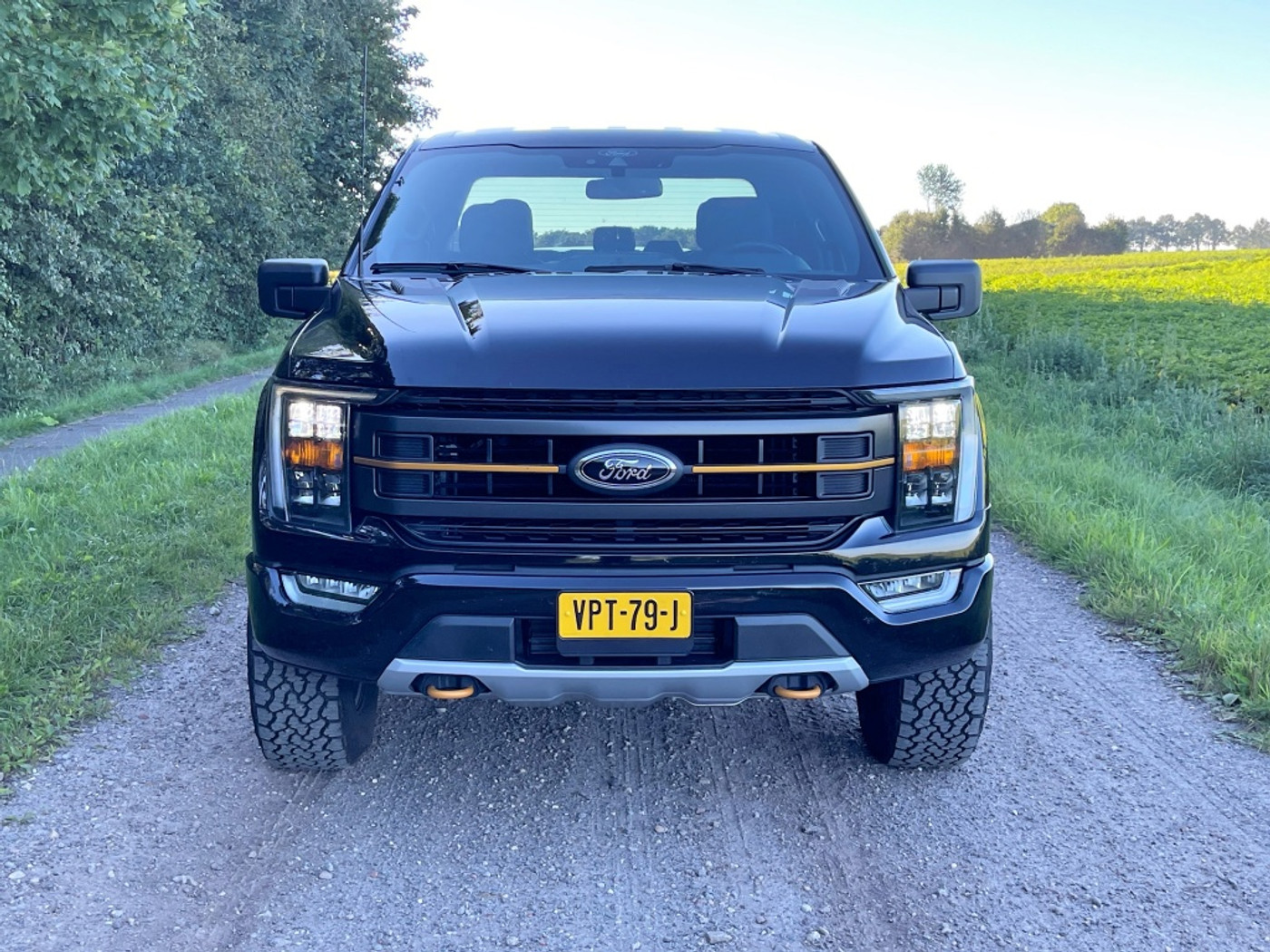 Foto van Ford F150