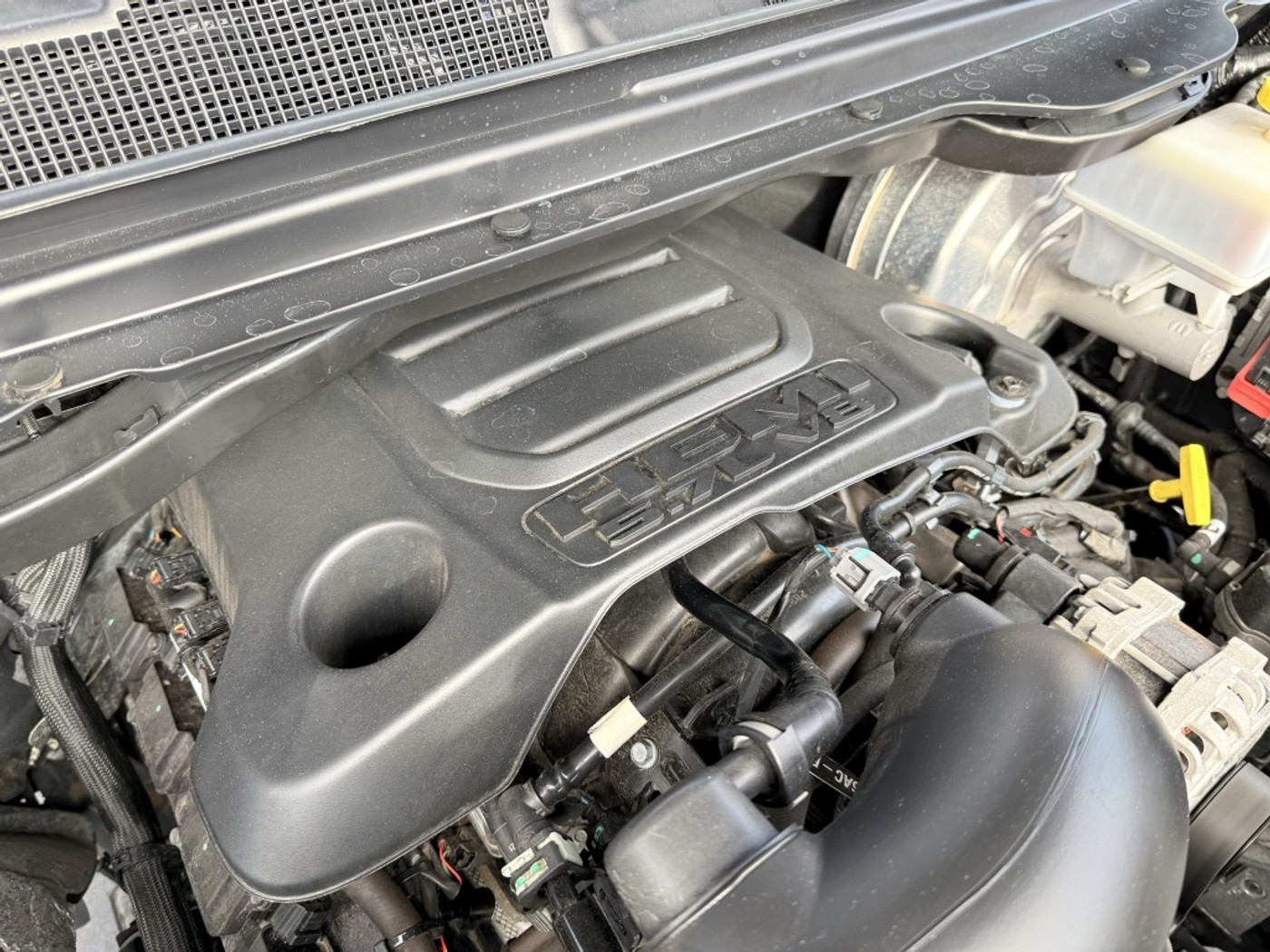 Foto van Ram Ram 1500