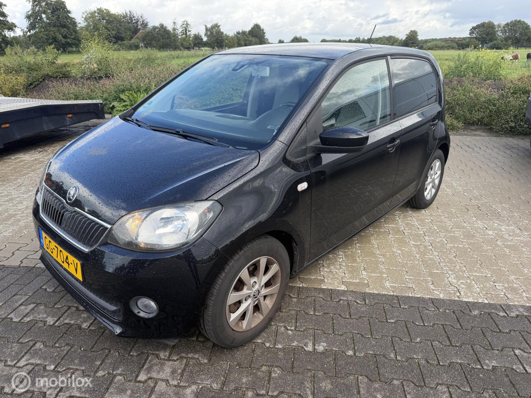 Foto van Skoda Citigo