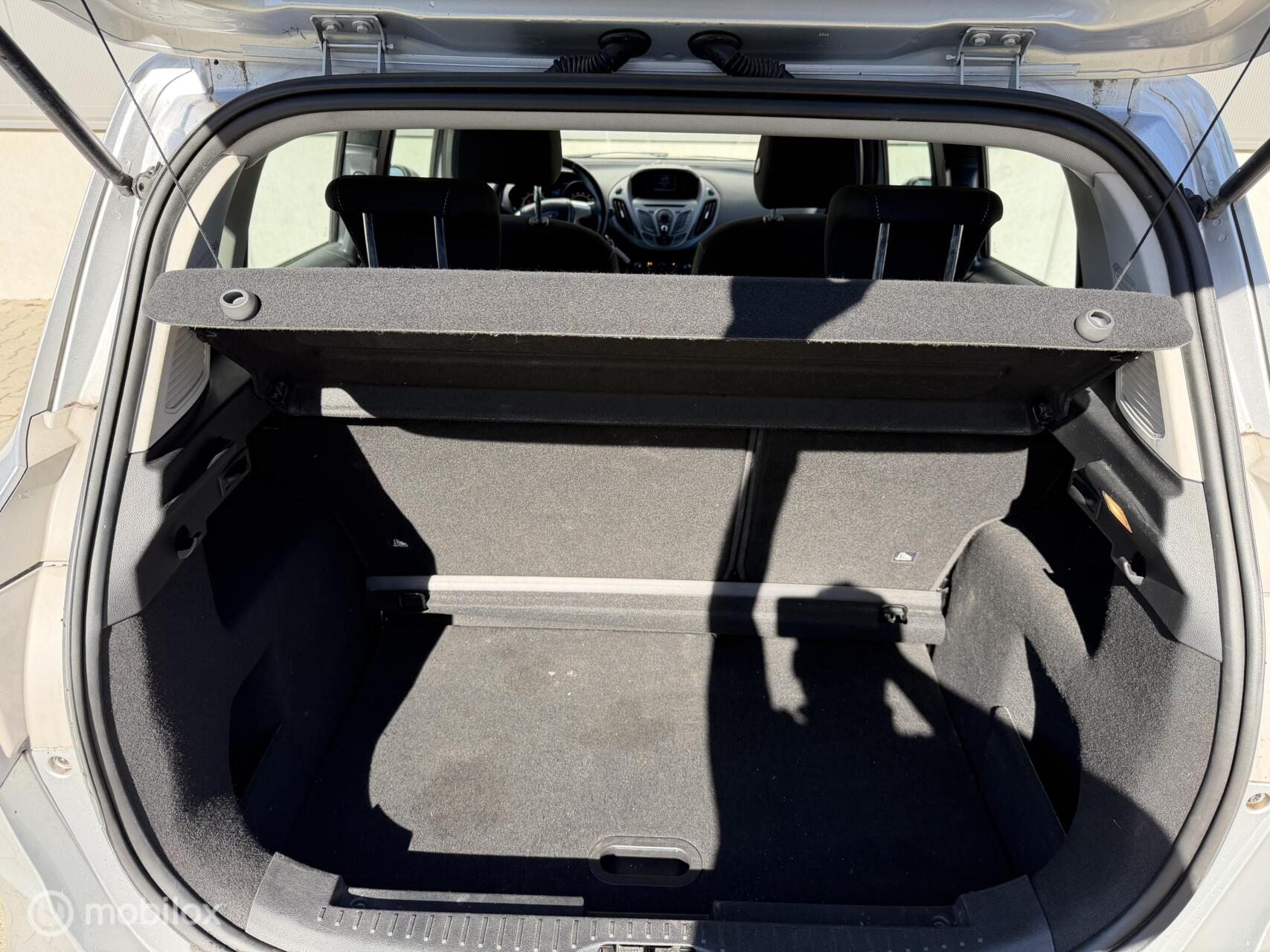 Foto van Ford B-max