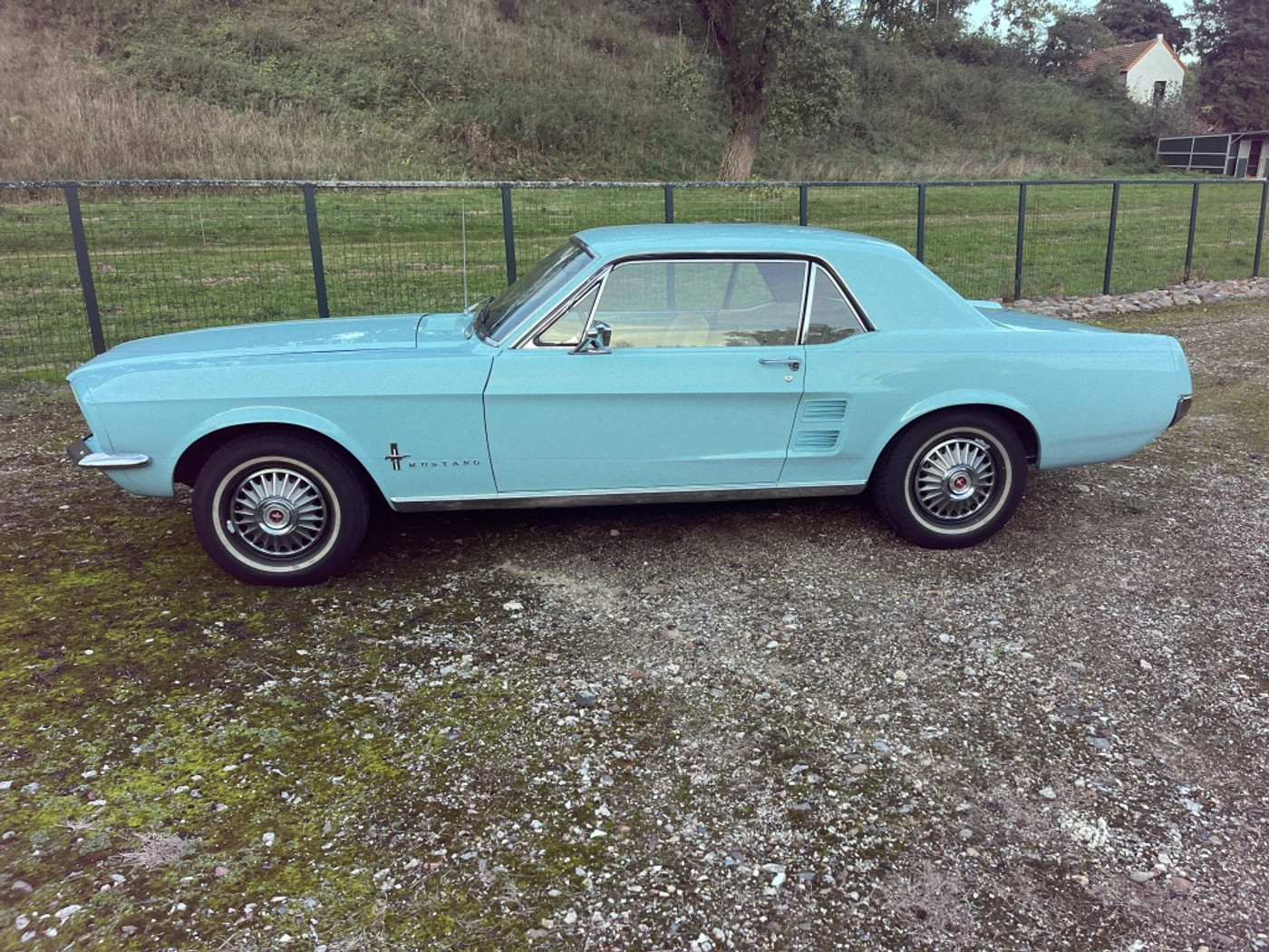 Foto van Ford Mustang