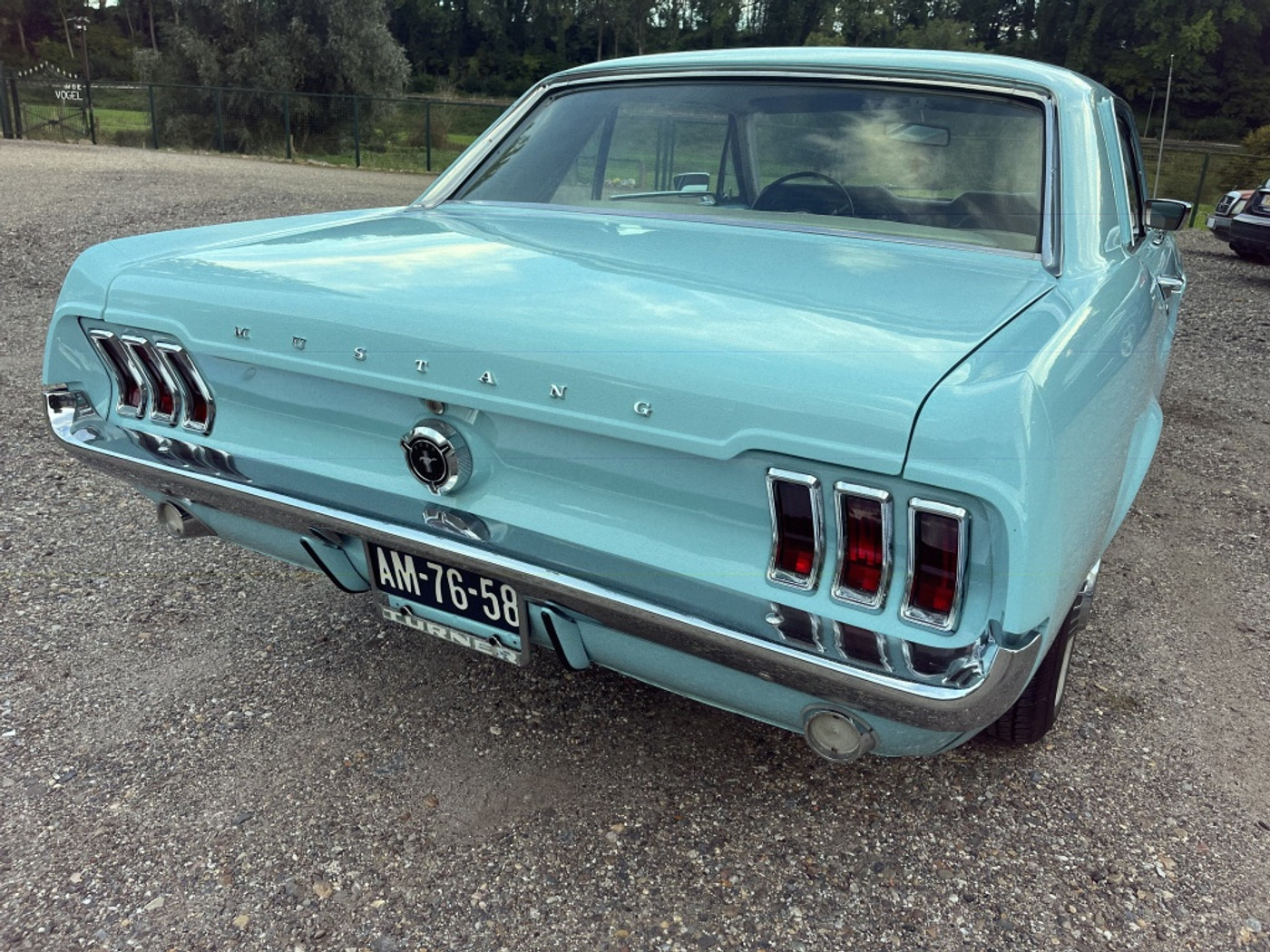 Foto van Ford Mustang