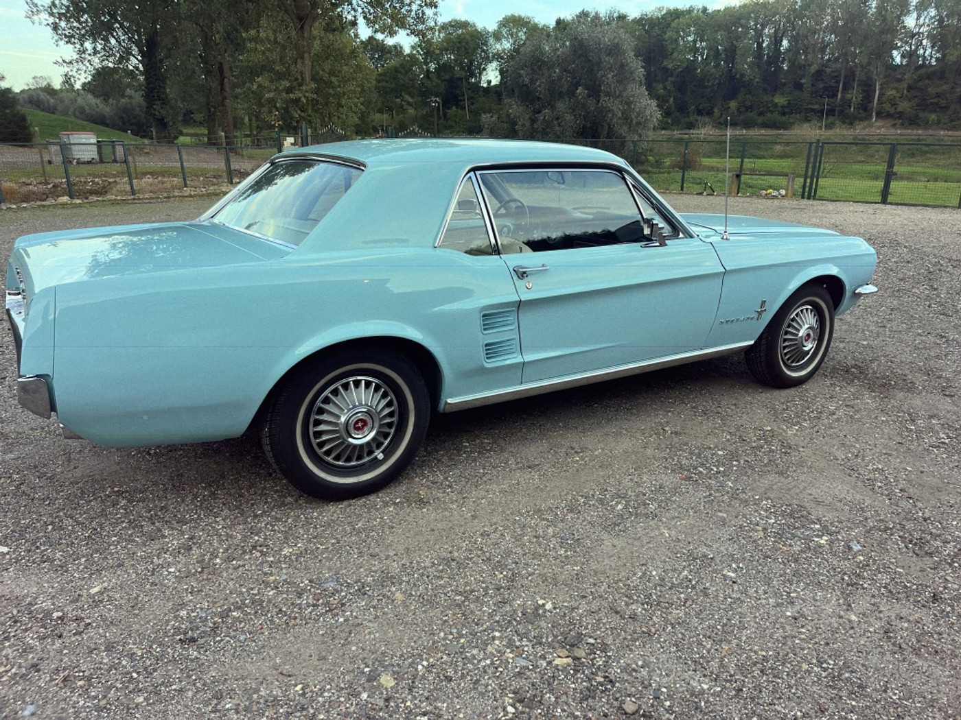 Foto van Ford Mustang