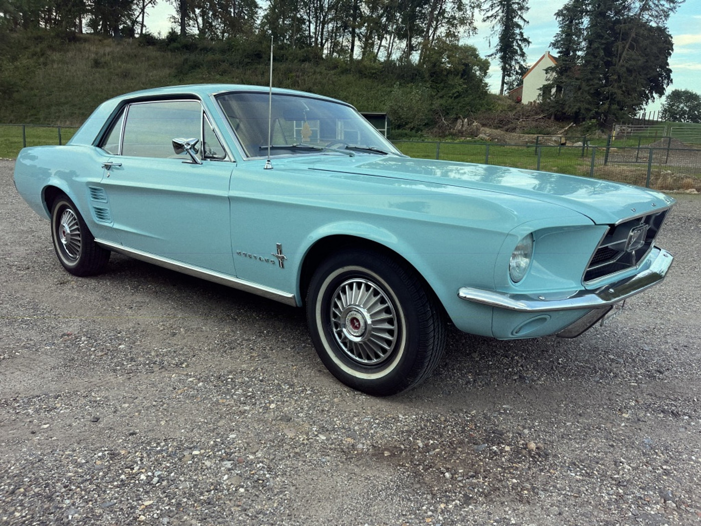 Foto van Ford Mustang