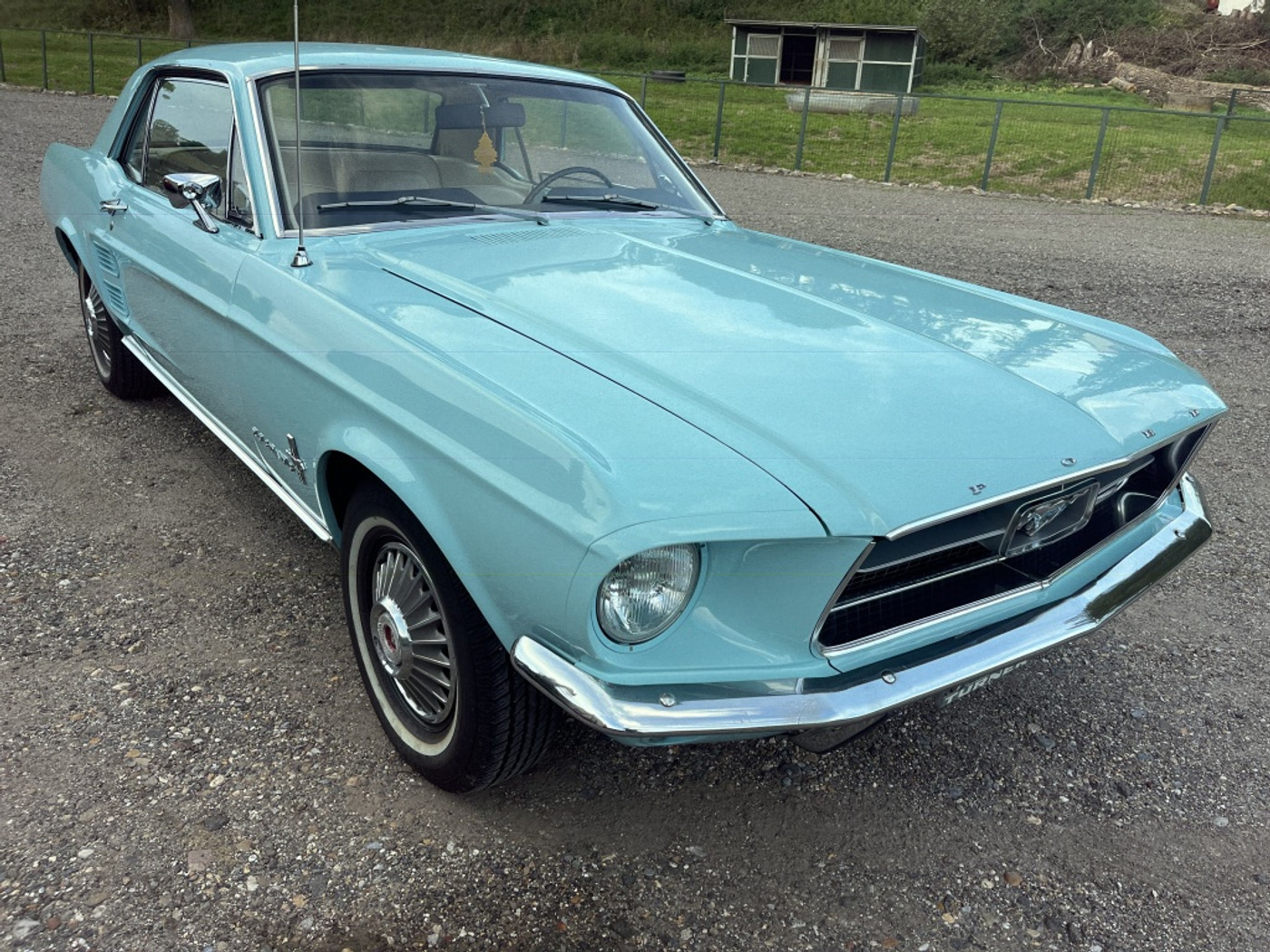 Foto van Ford Mustang