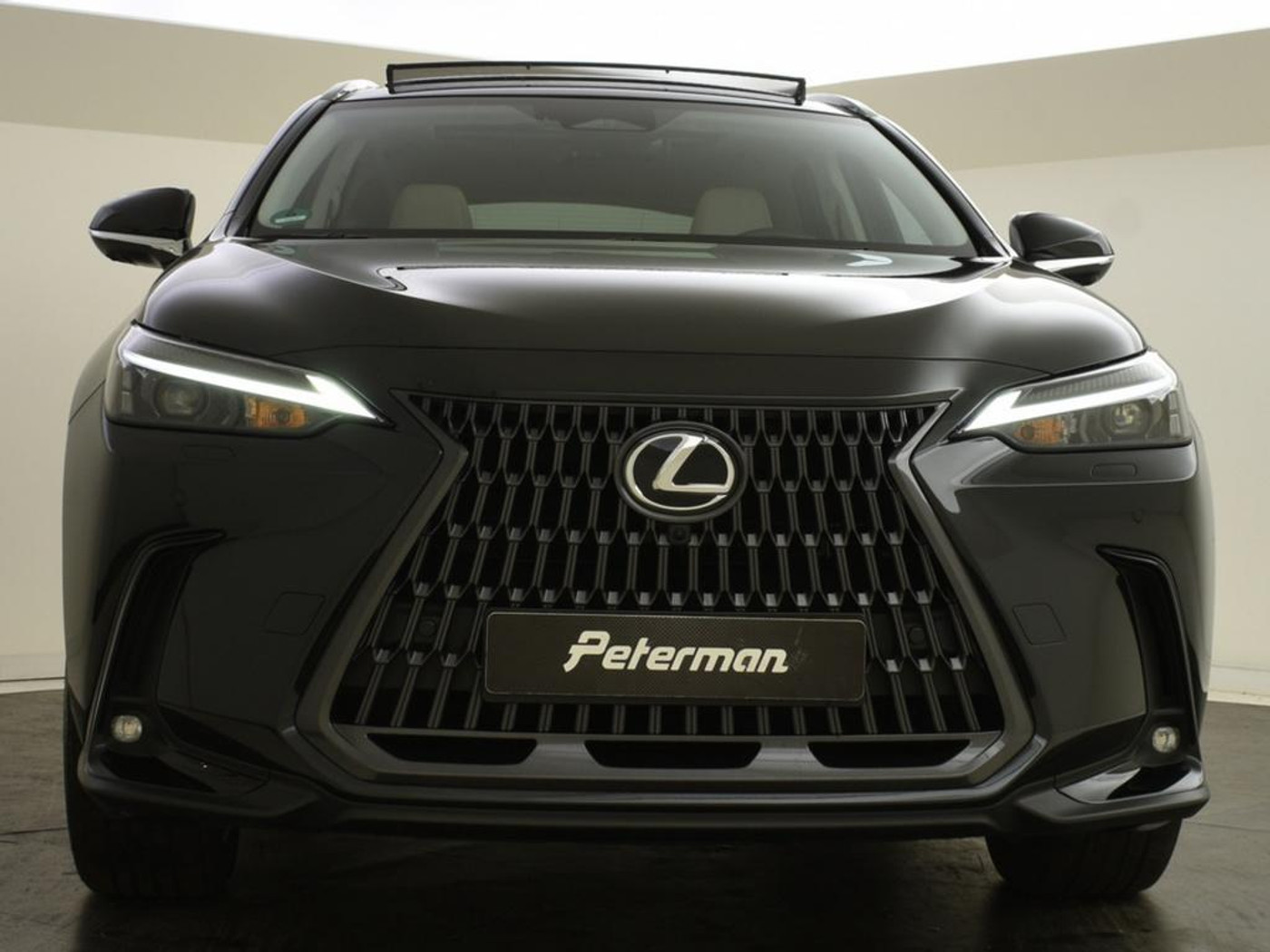 Foto van Lexus NX