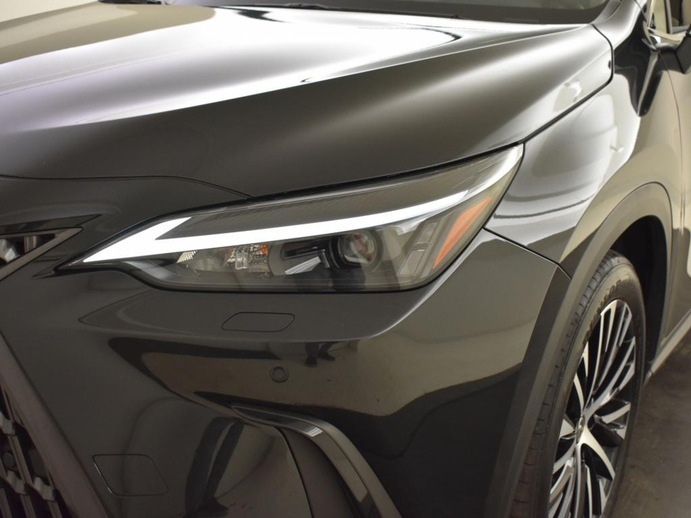 Foto van Lexus NX