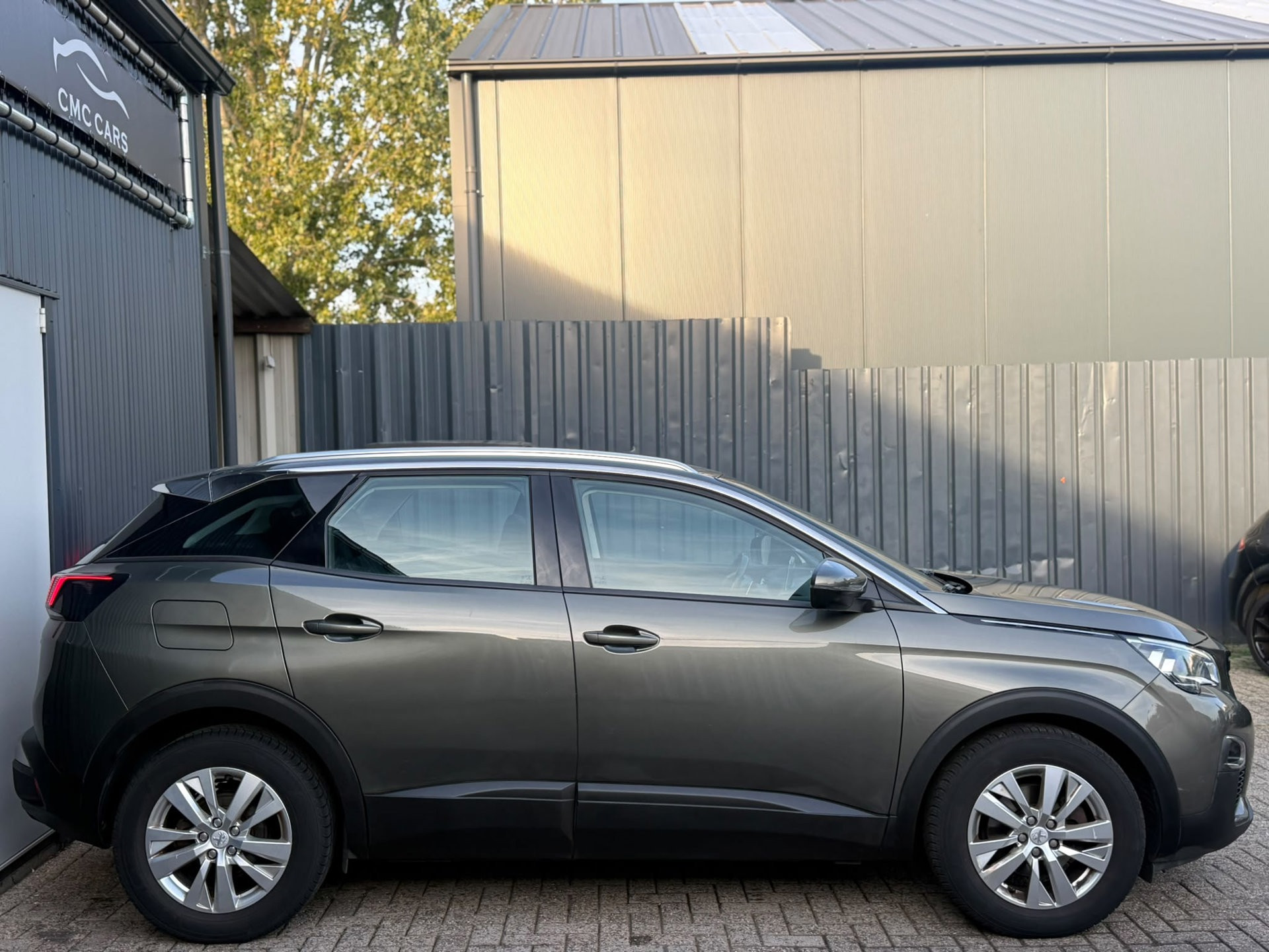 Foto van Peugeot 3008