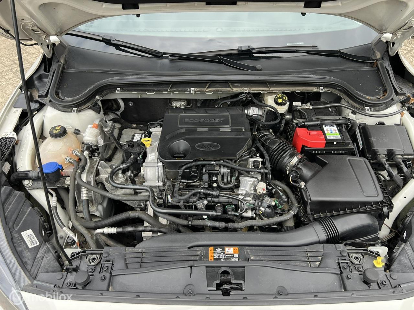 Foto van Ford Focus Wagon