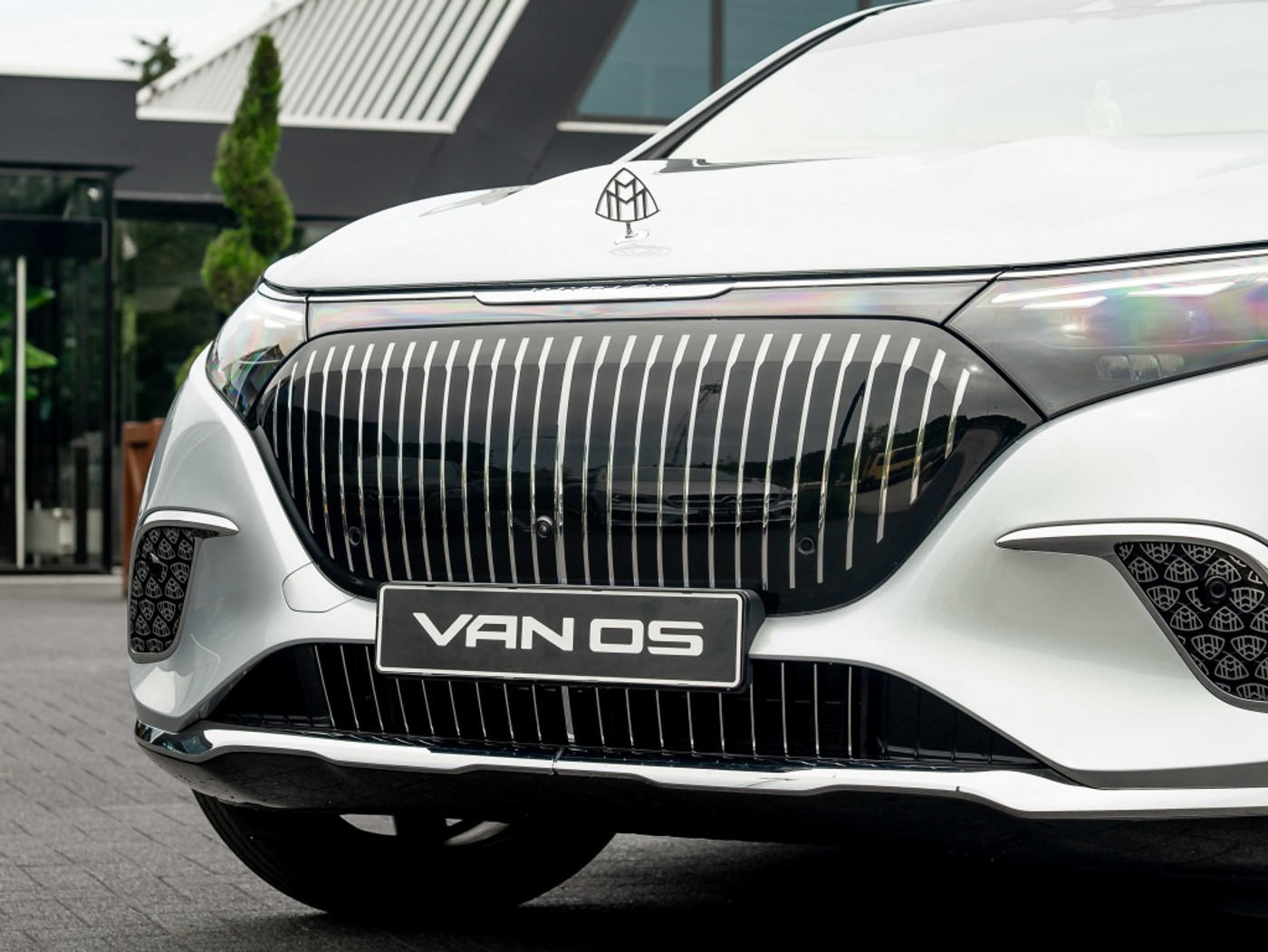 Foto van Mercedes-Benz Eqs Suv