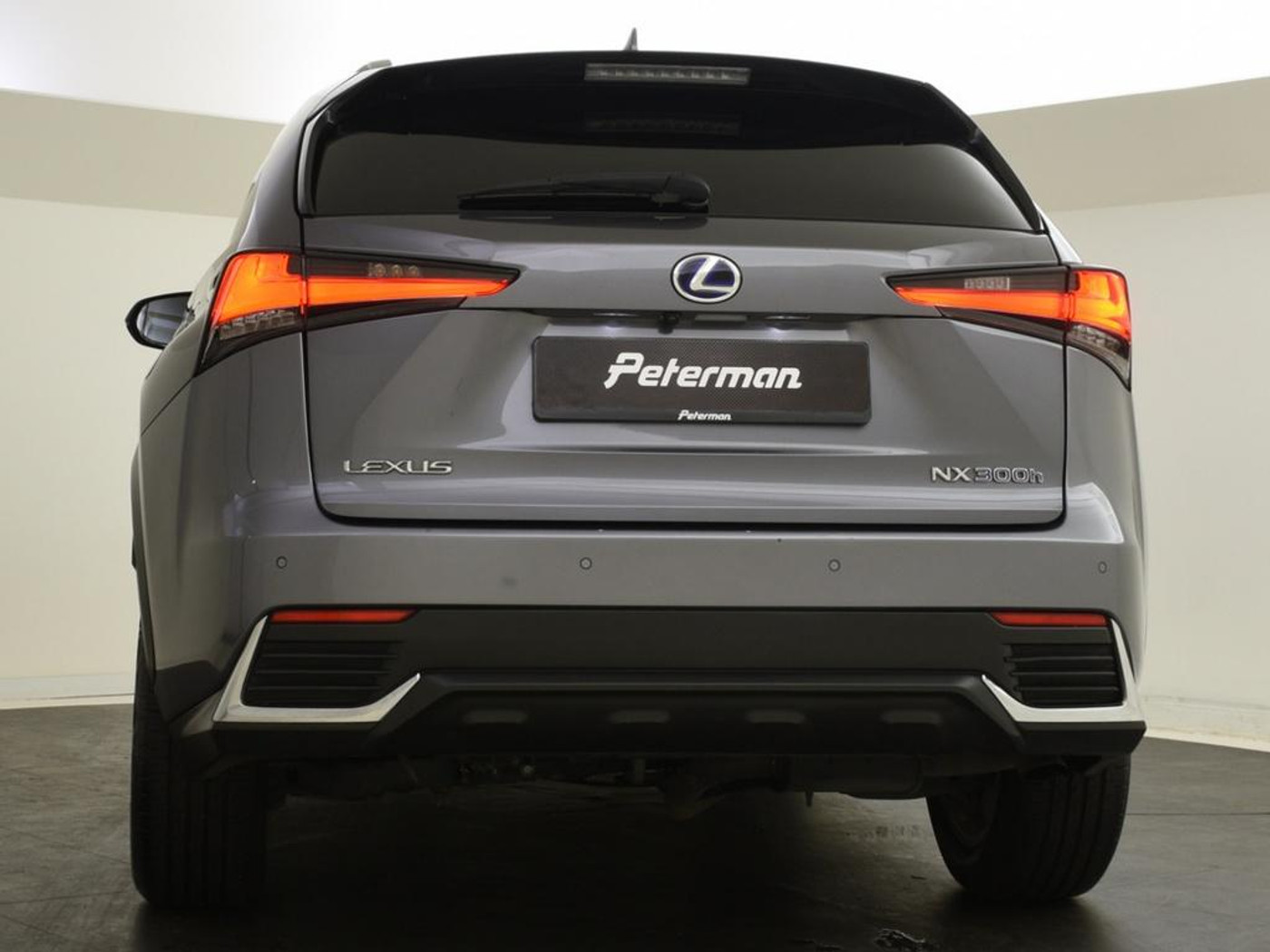 Foto van Lexus NX