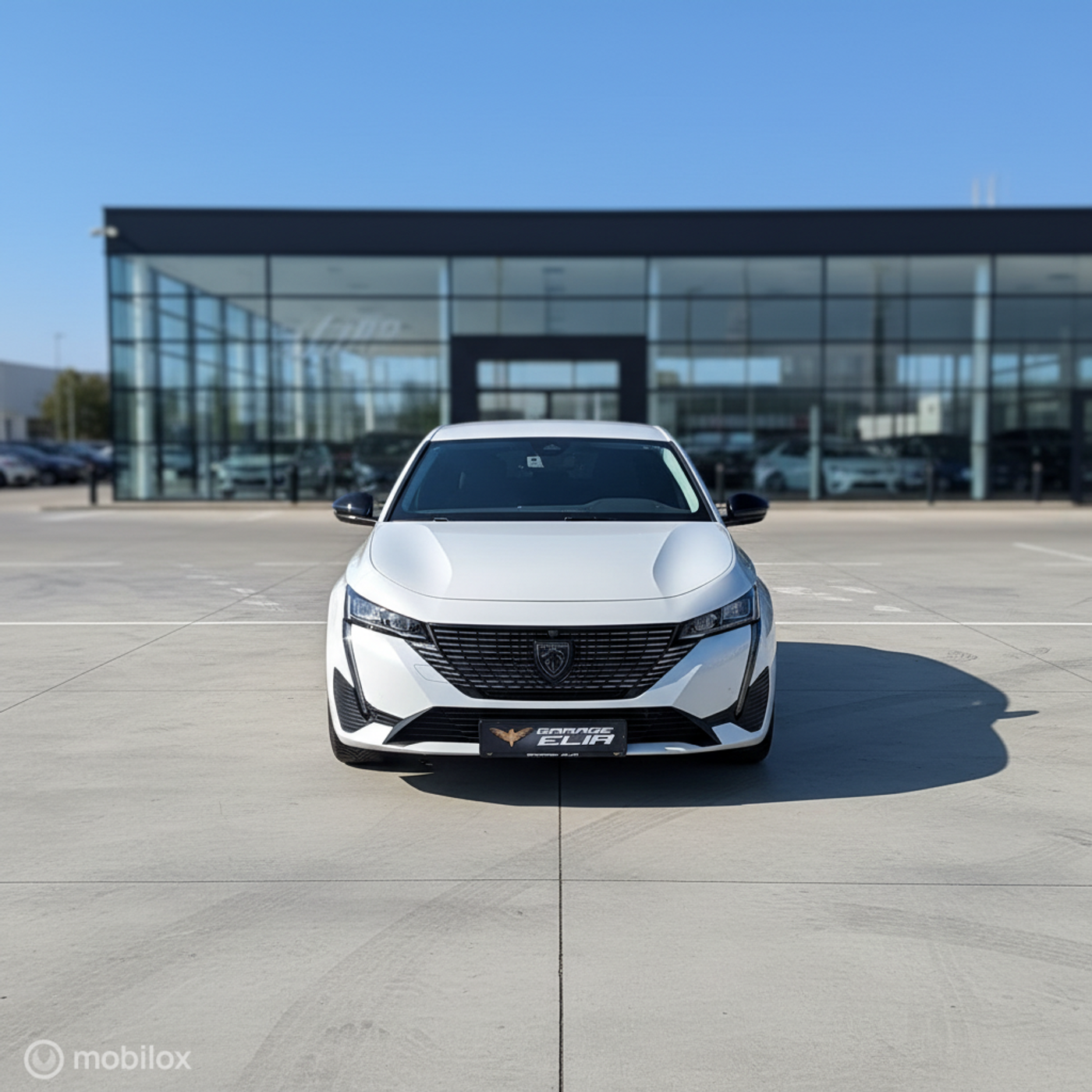 Foto van Peugeot 308 SW