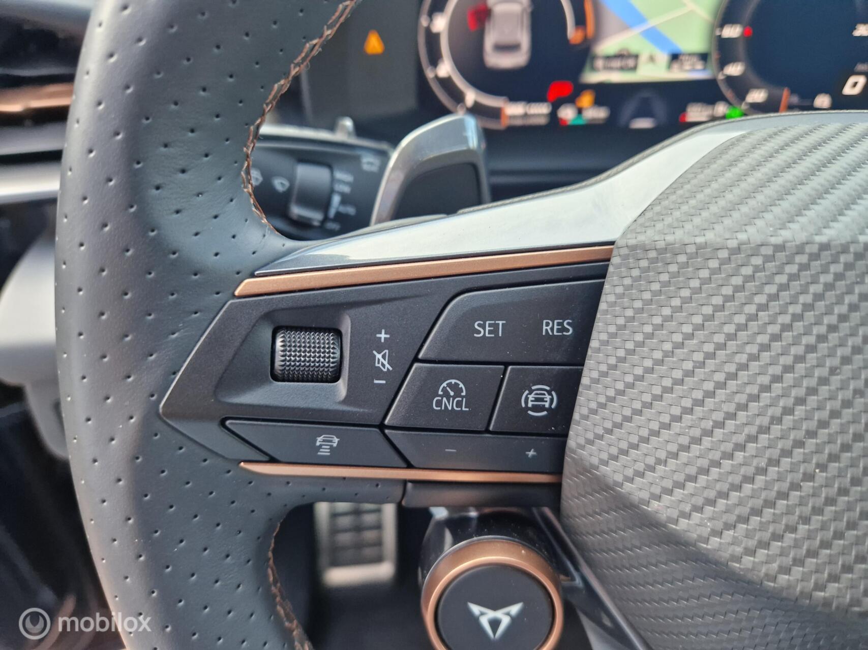 Foto van Cupra Terramar