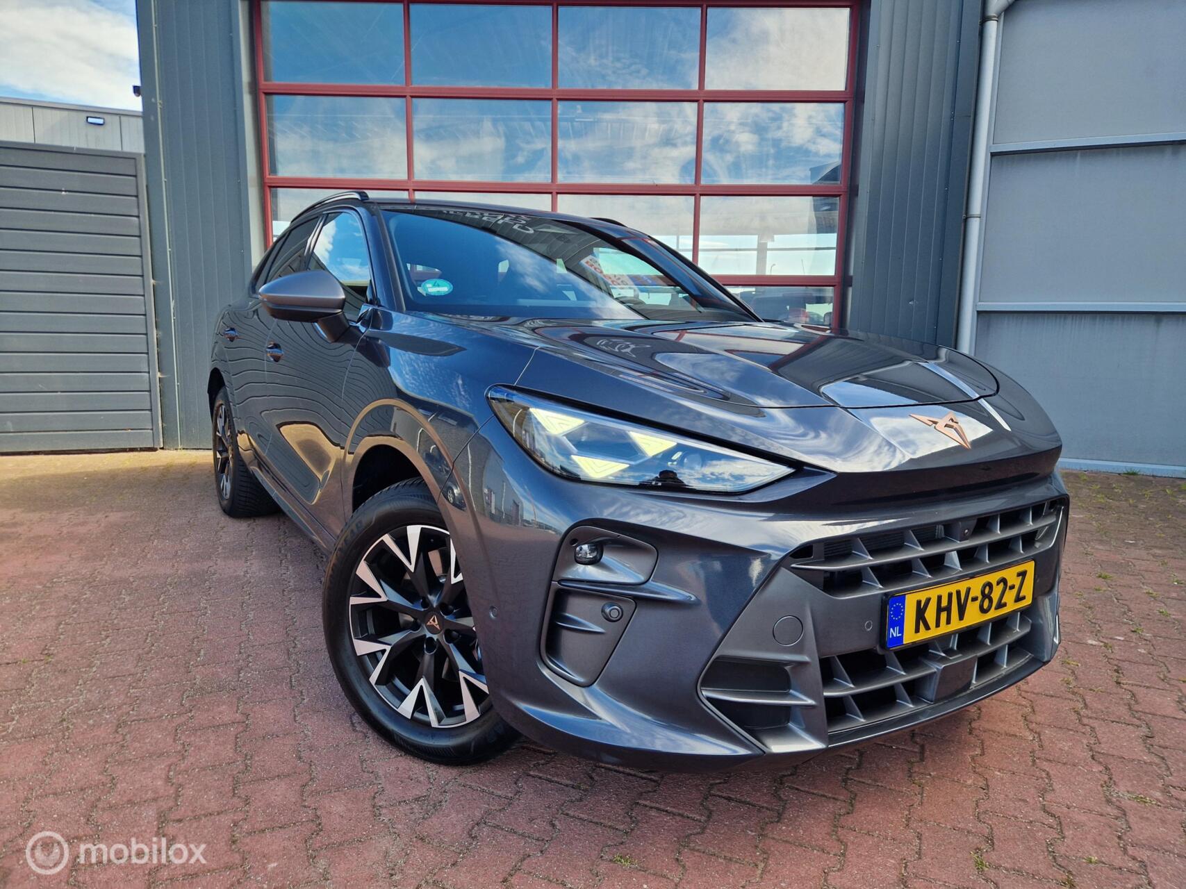 Foto van Cupra Terramar