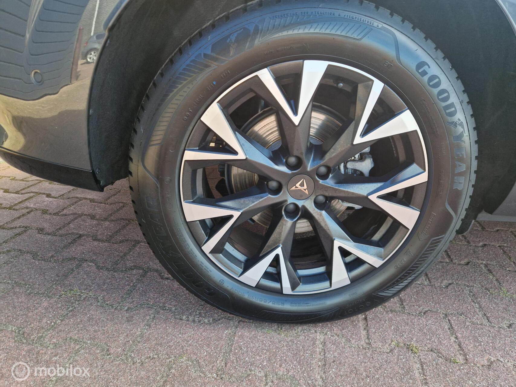 Foto van Cupra Terramar