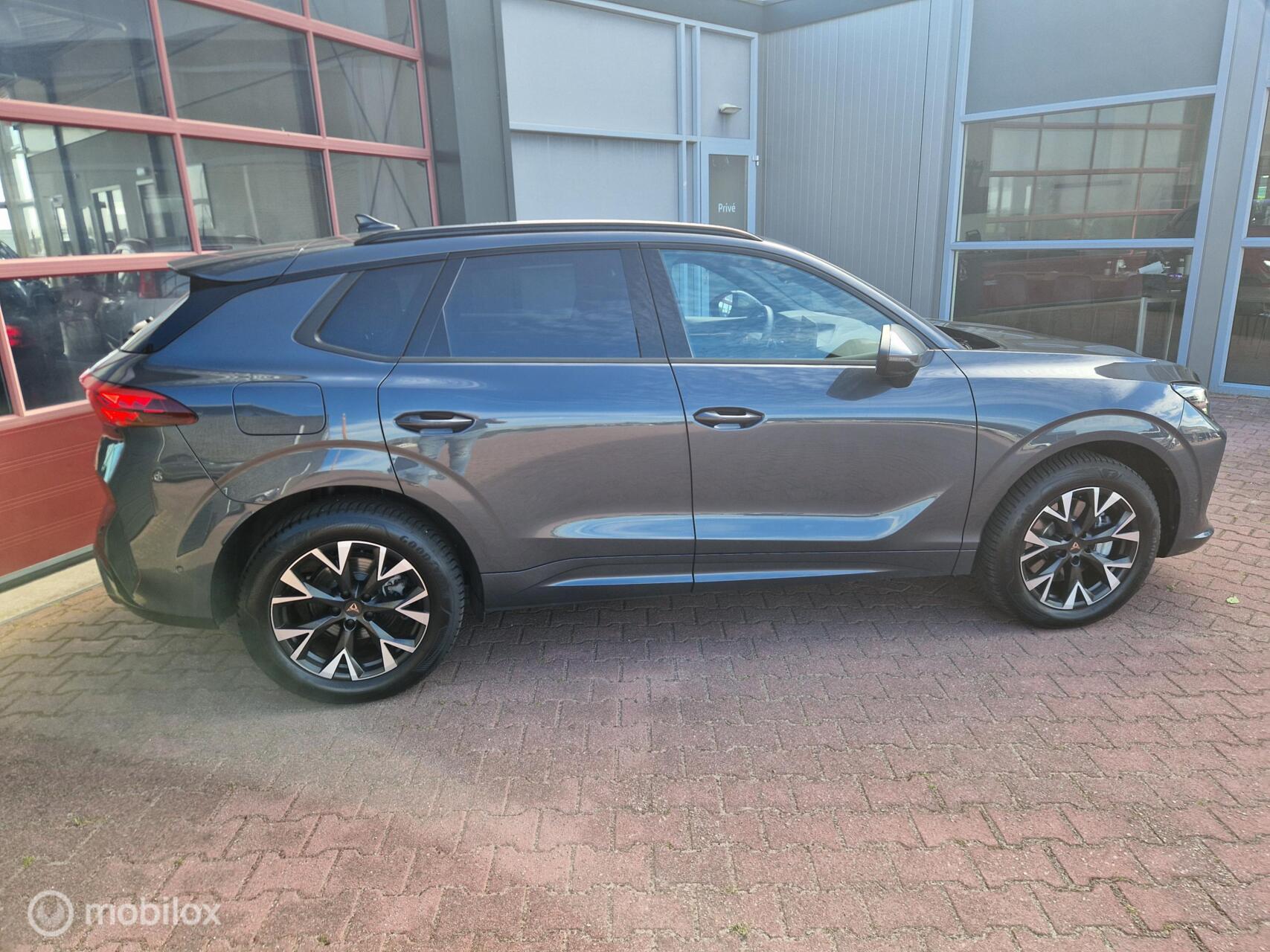 Foto van Cupra Terramar