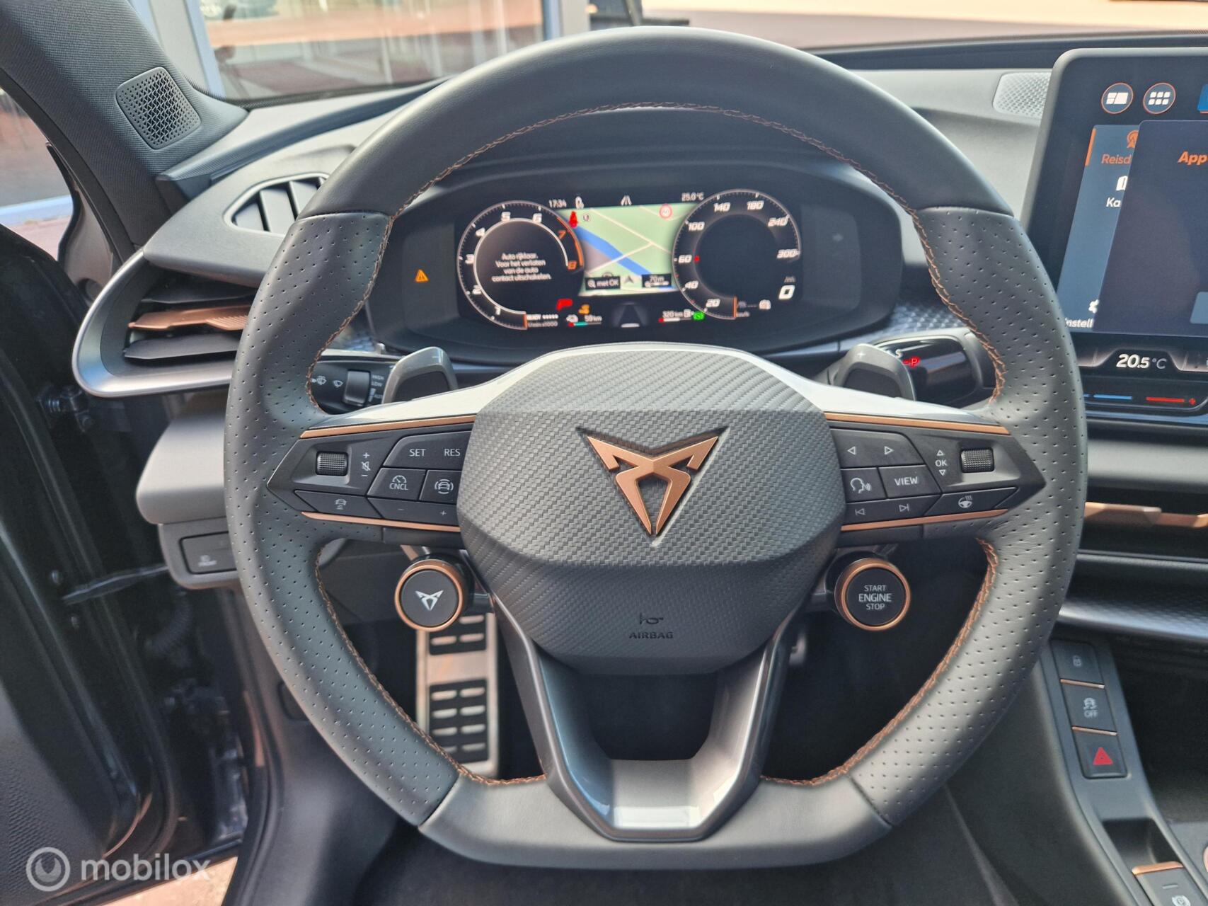 Foto van Cupra Terramar