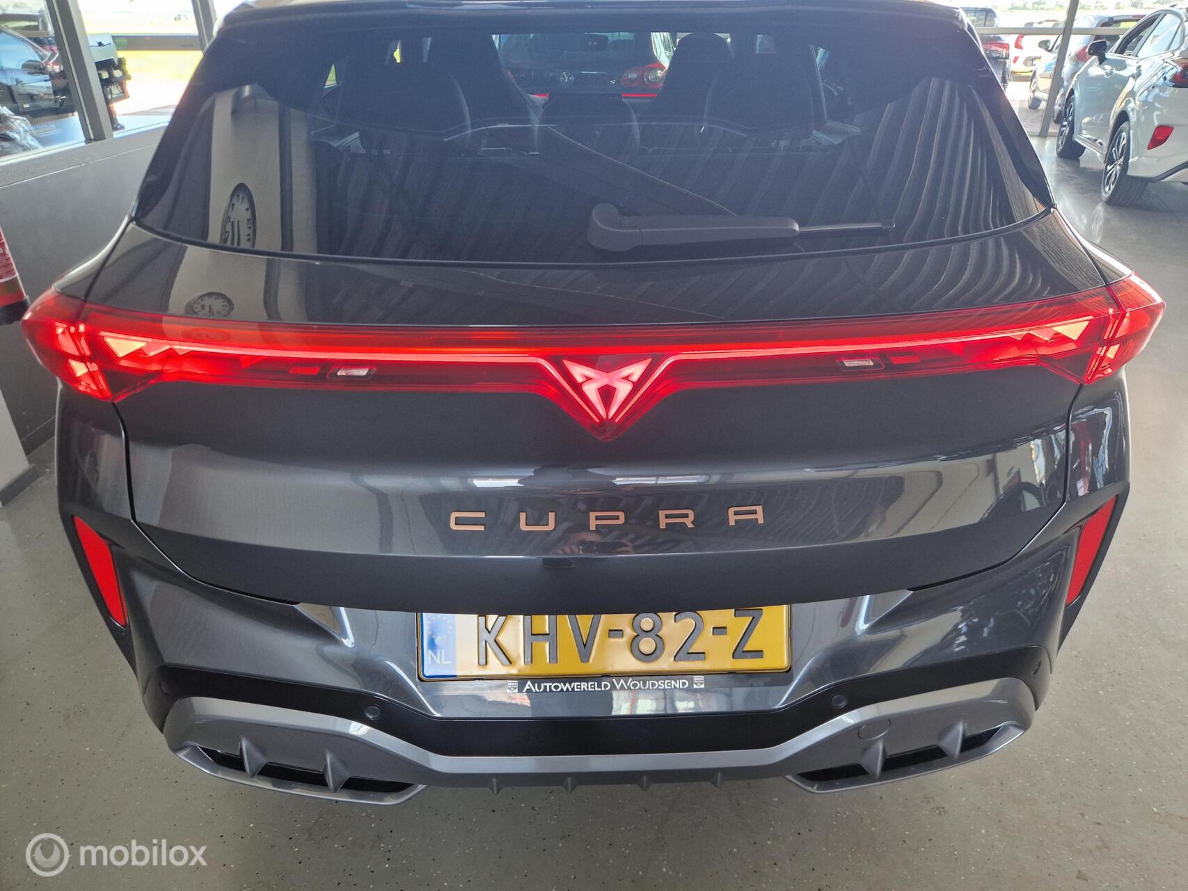 Foto van Cupra Terramar