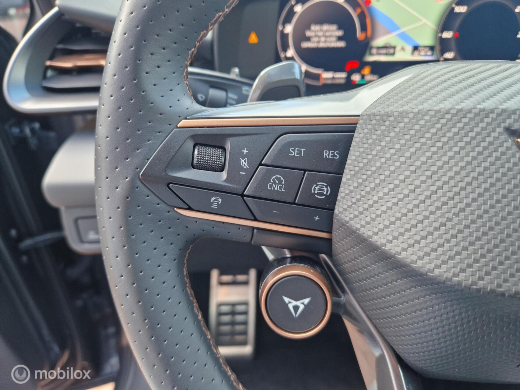 Foto van Cupra Terramar