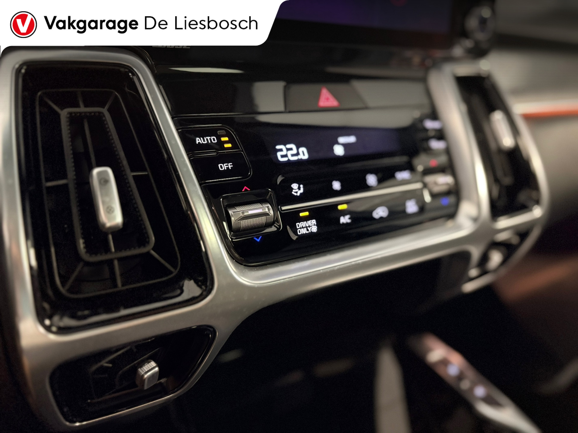 Foto van Kia Sorento