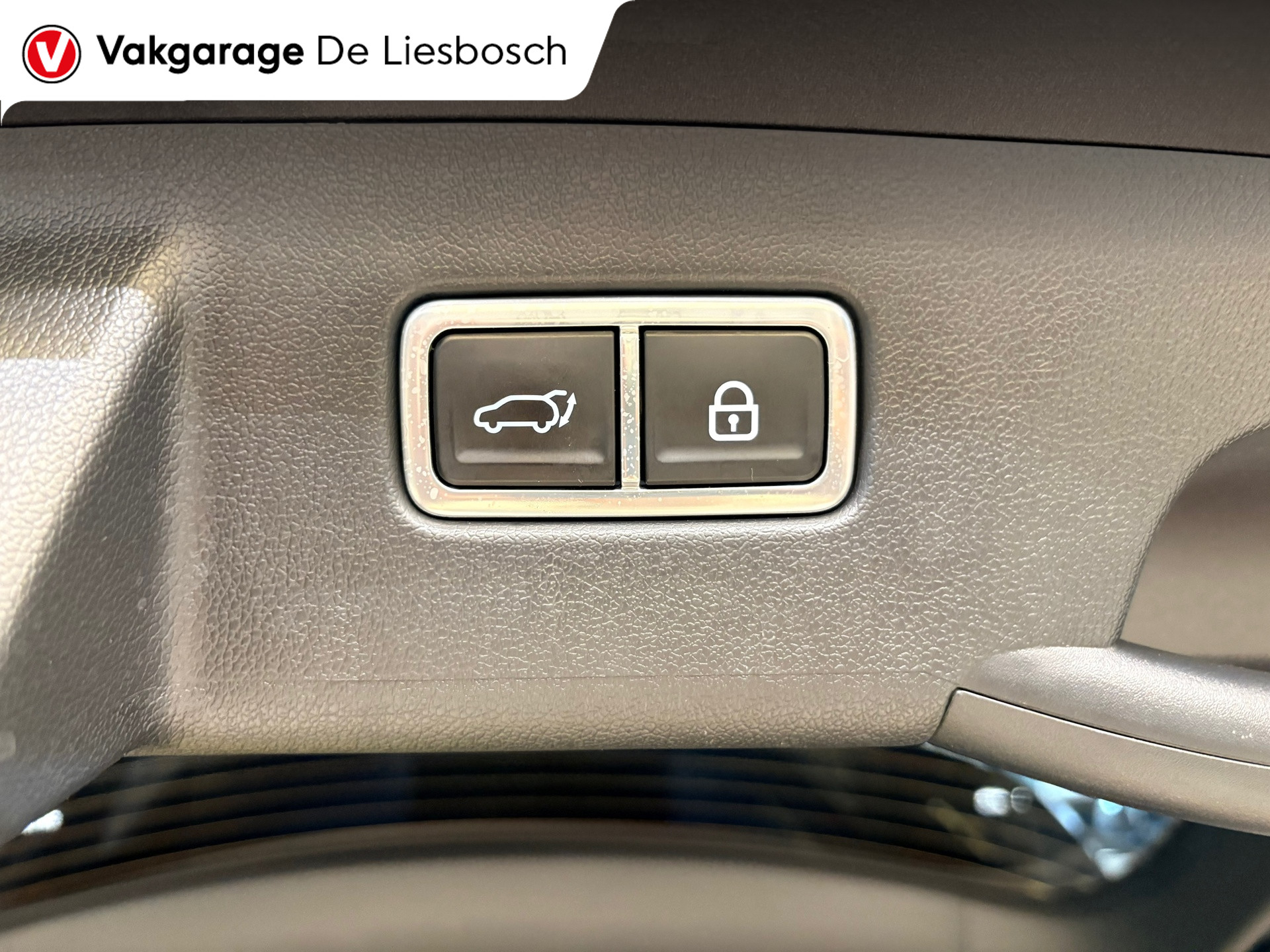 Foto van Kia Sorento
