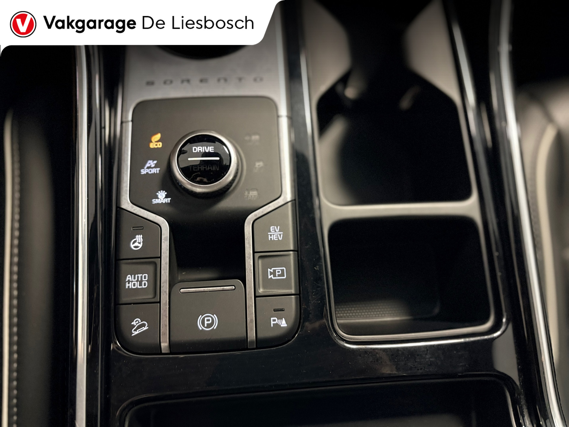 Foto van Kia Sorento