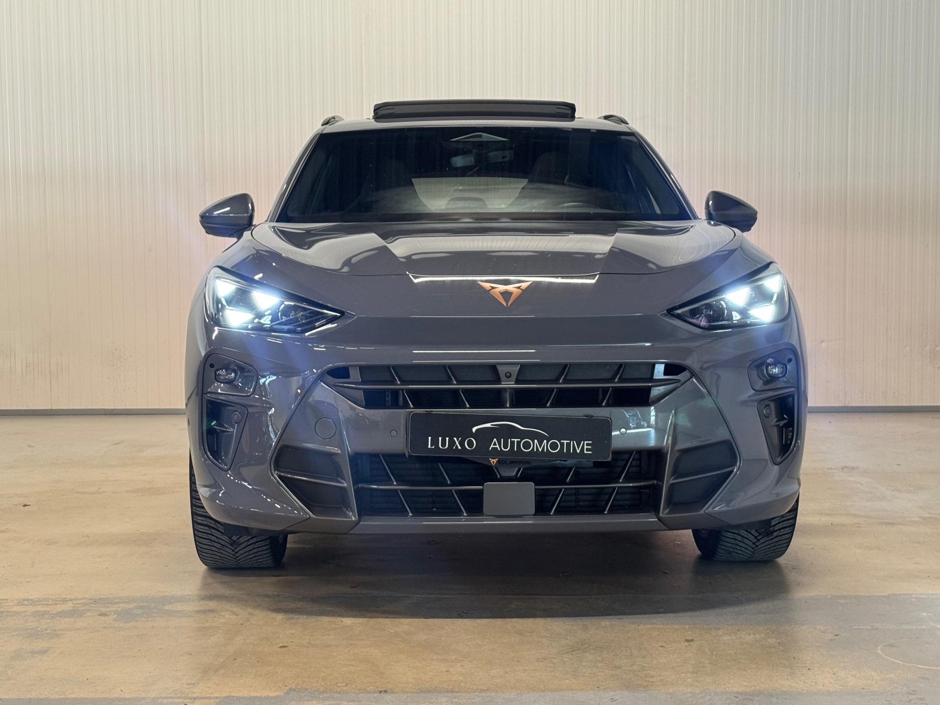 Foto van Cupra Terramar