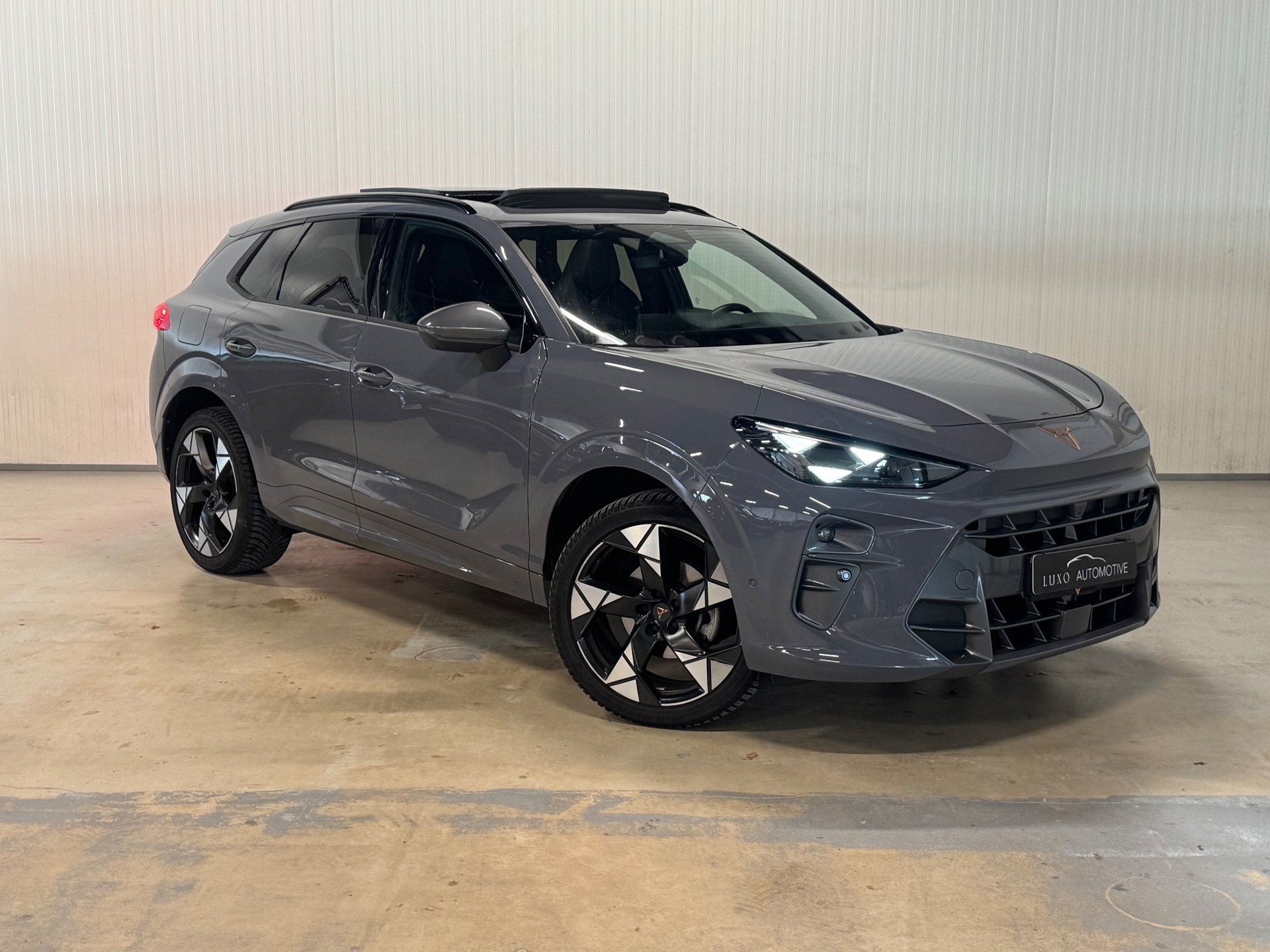 Foto van Cupra Terramar