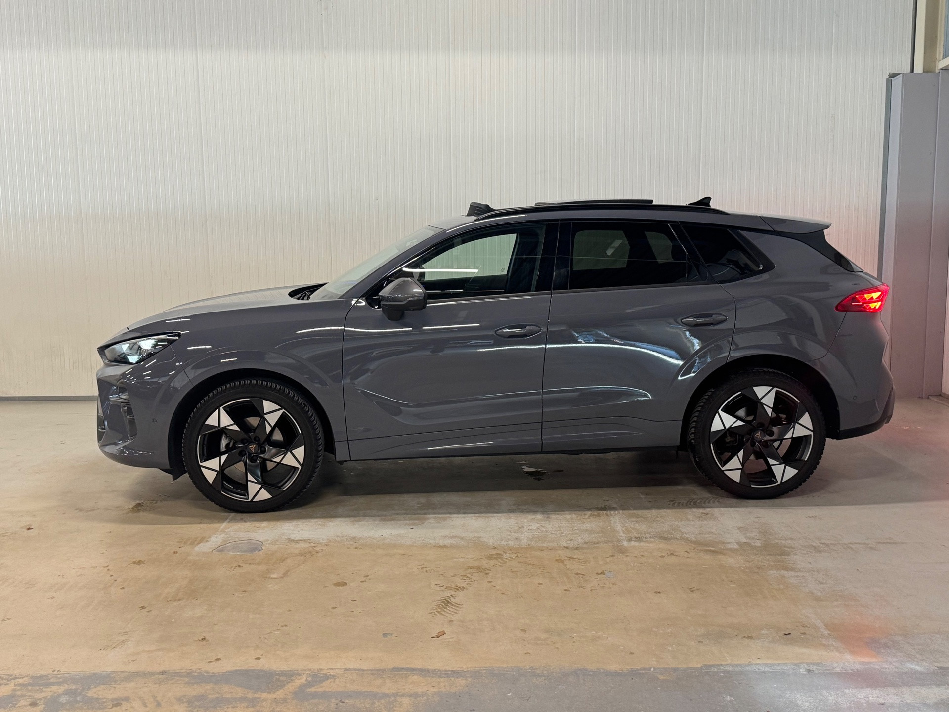 Foto van Cupra Terramar