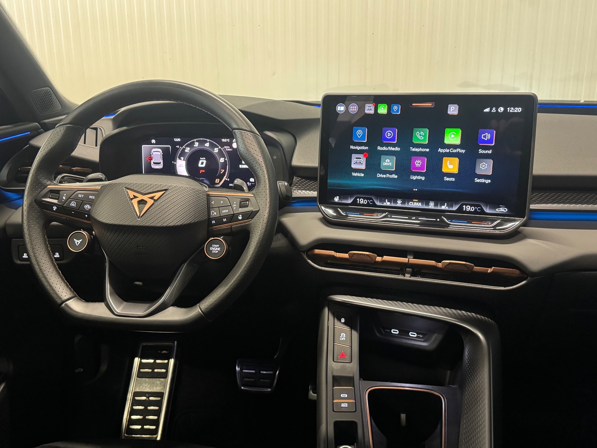Foto van Cupra Terramar