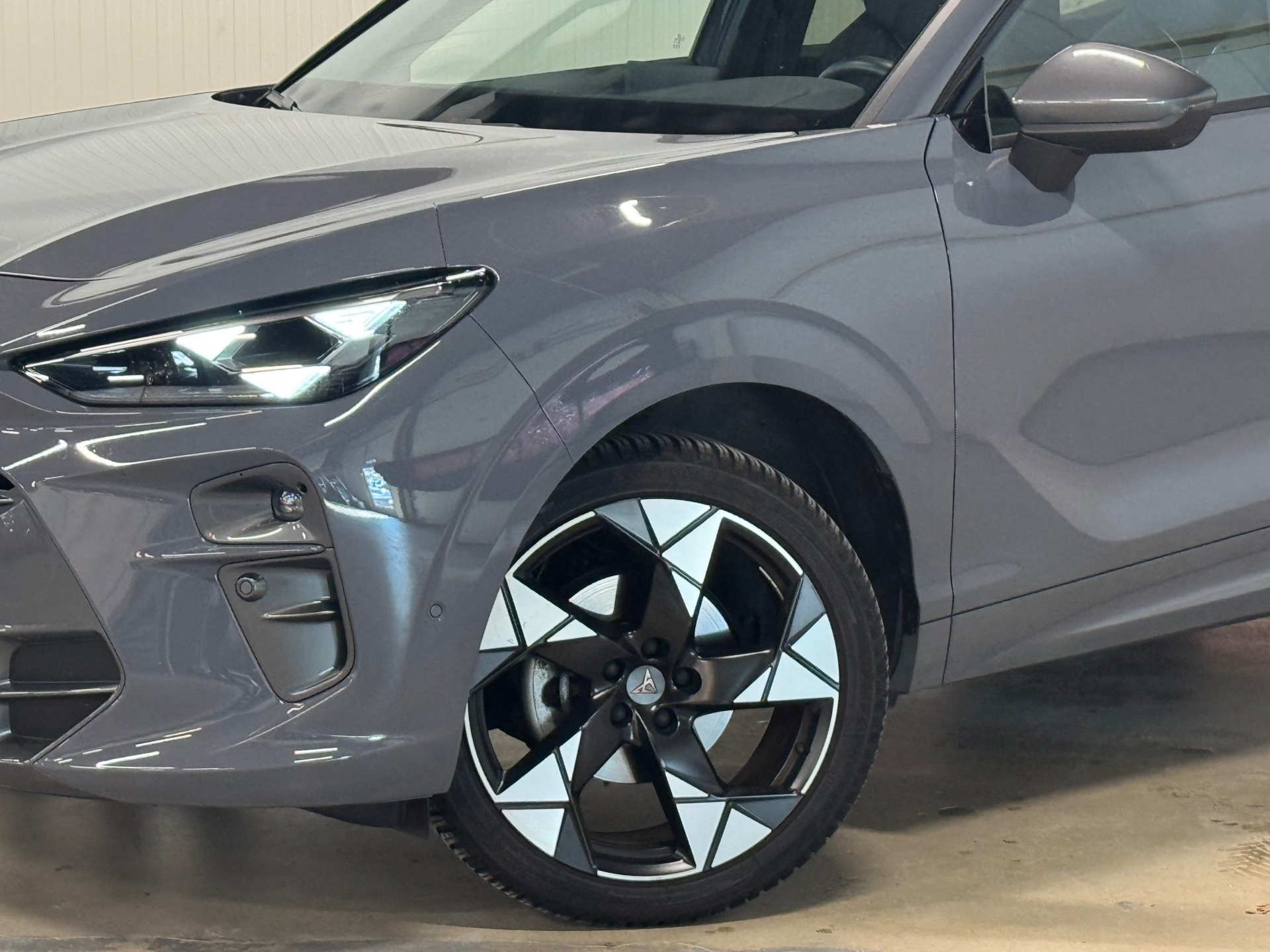 Foto van Cupra Terramar