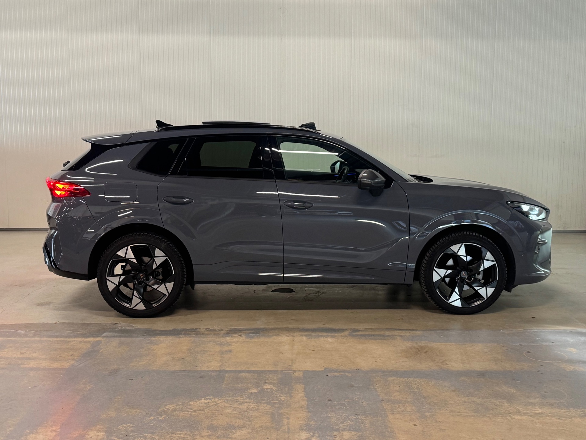 Foto van Cupra Terramar
