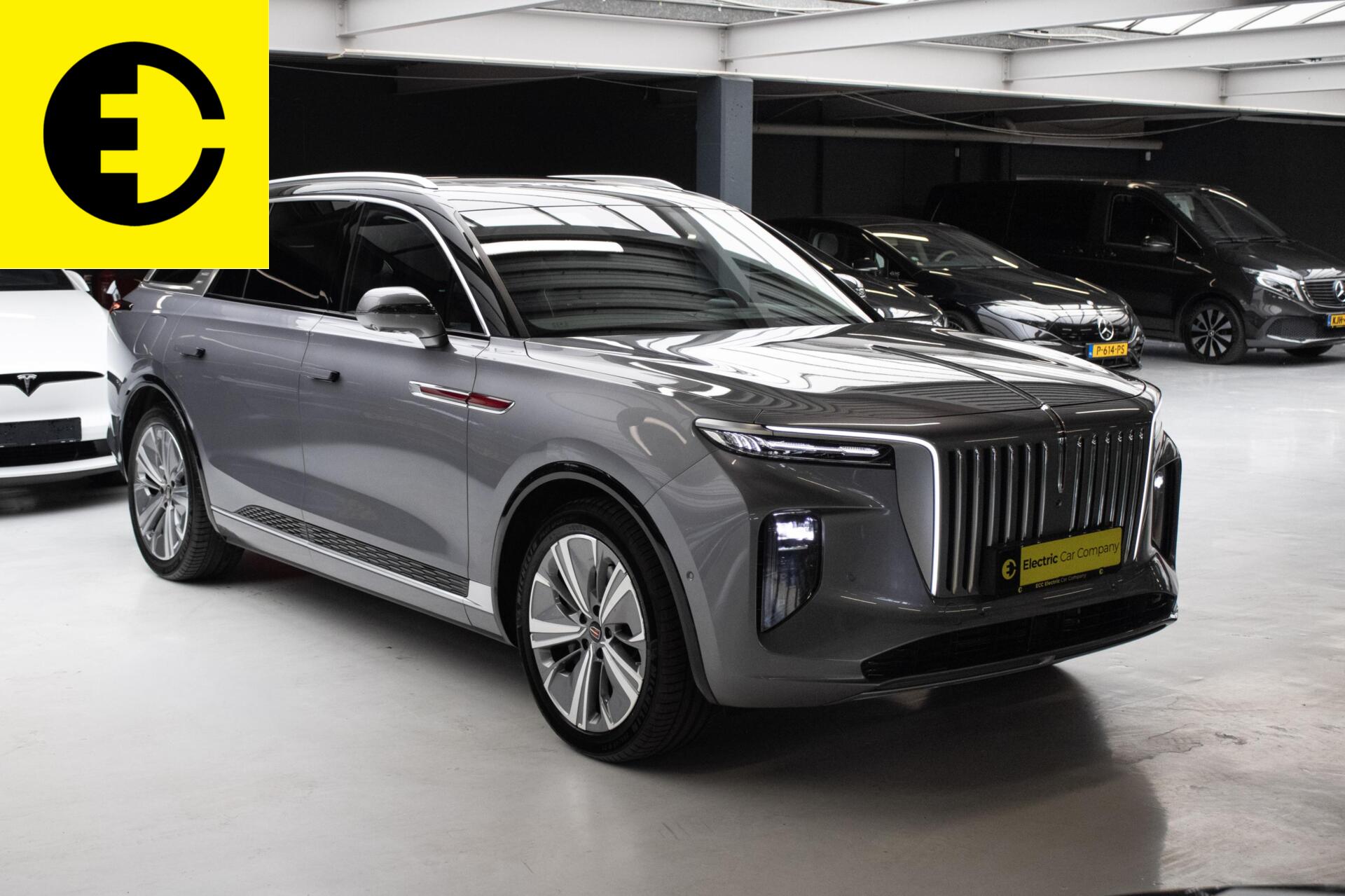 Foto van Hongqi E-hs9