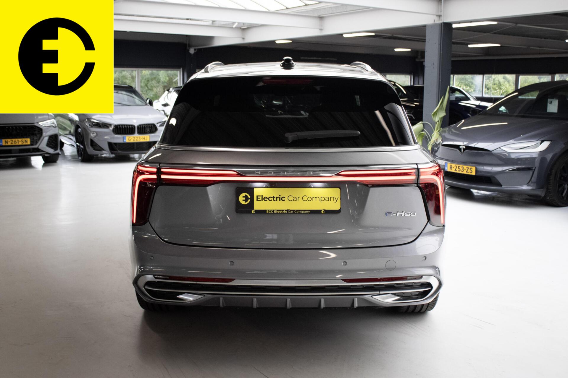 Foto van Hongqi E-hs9