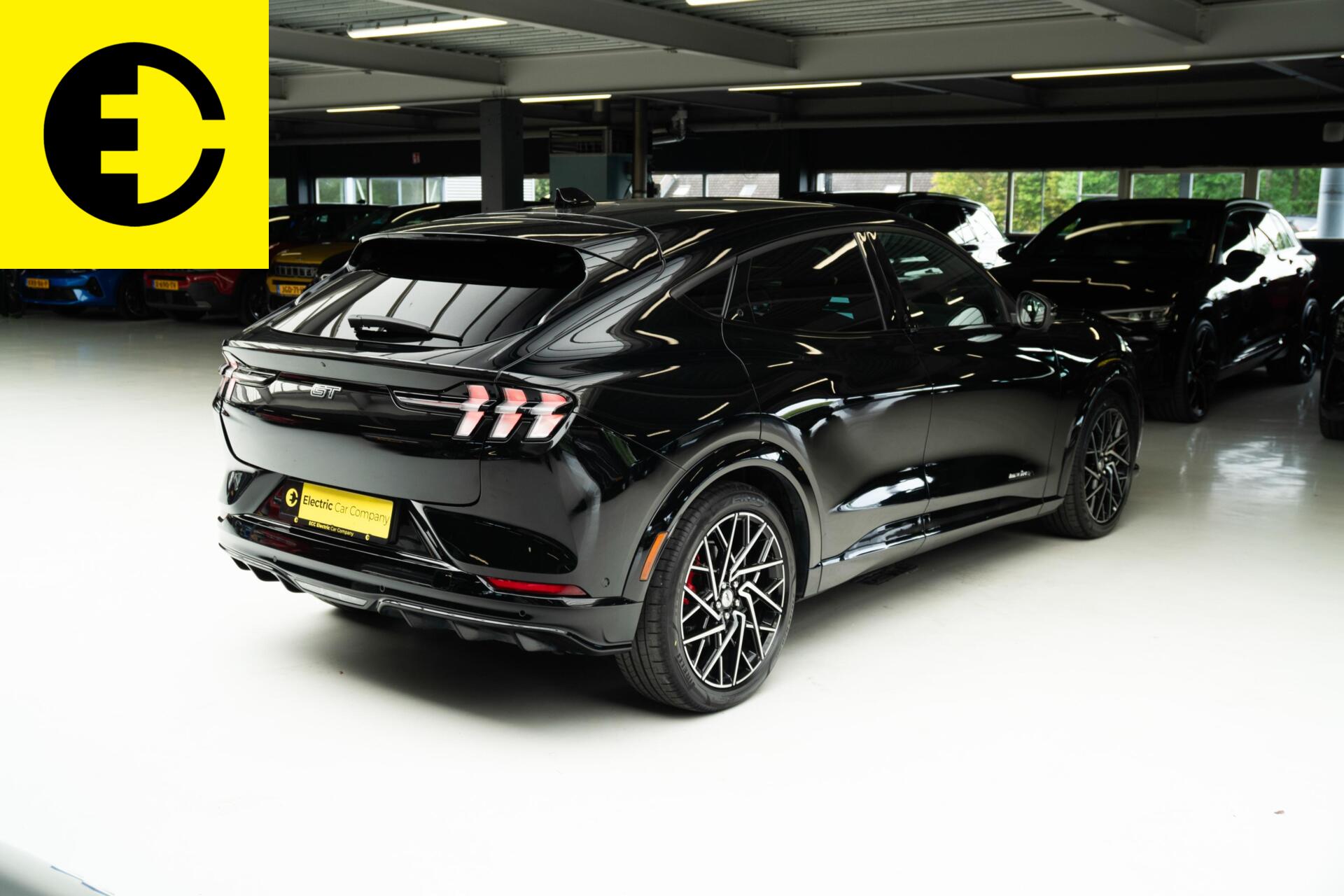 Foto van Ford Mustang Mach-e