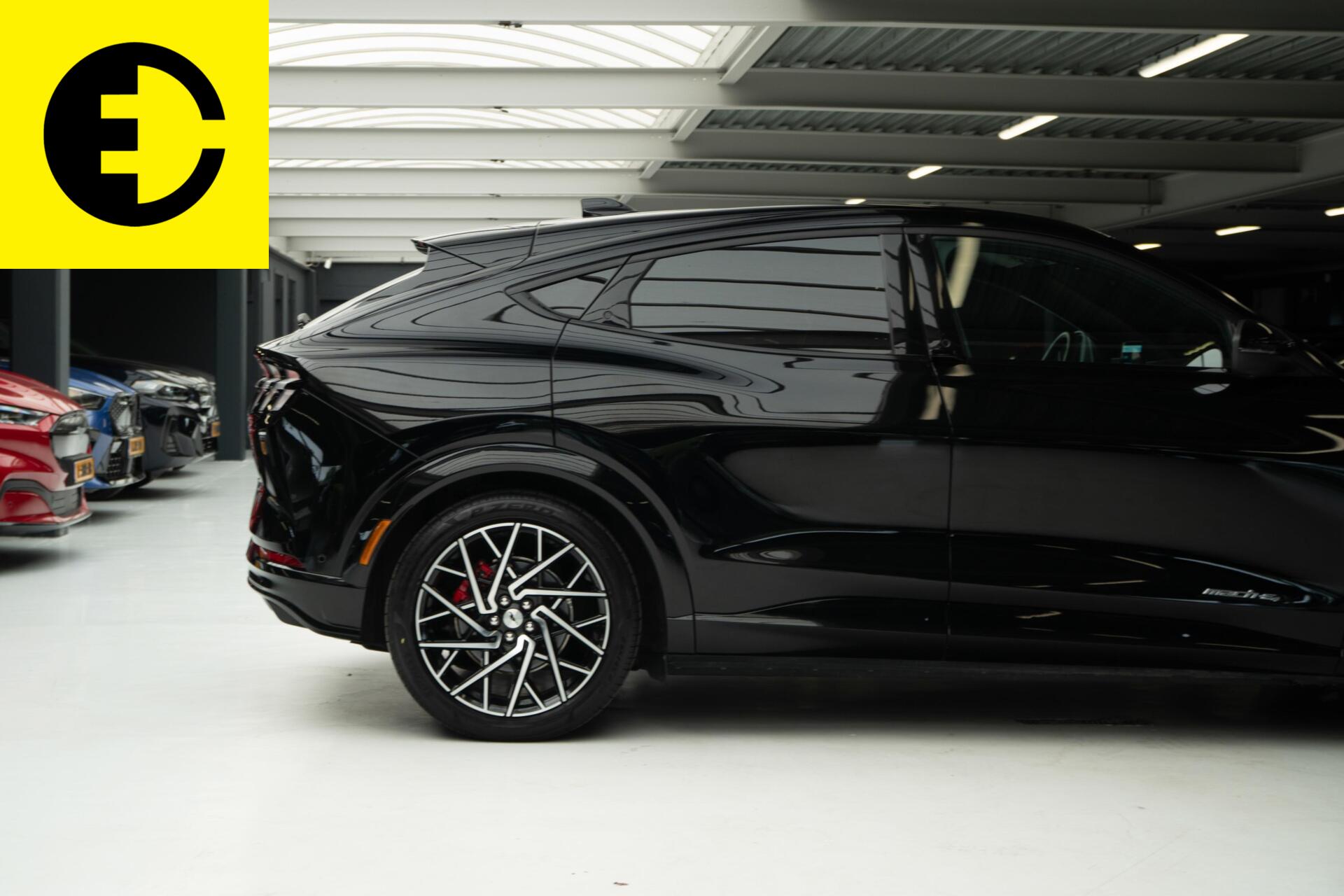 Foto van Ford Mustang Mach-e