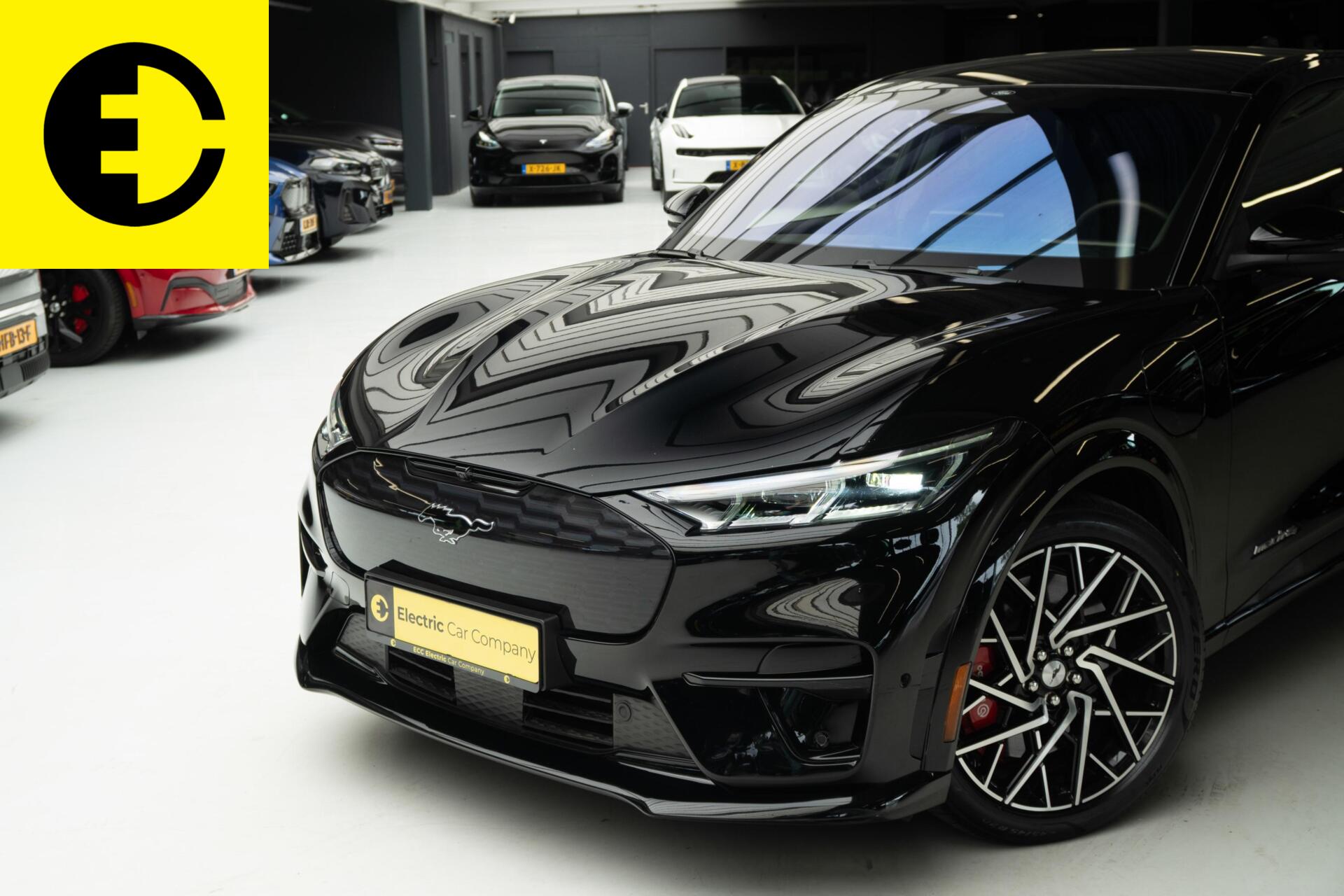 Foto van Ford Mustang Mach-e