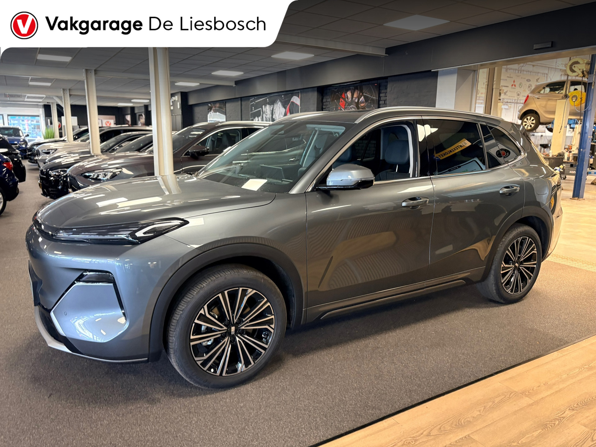 Foto van Geely Starray Em-i