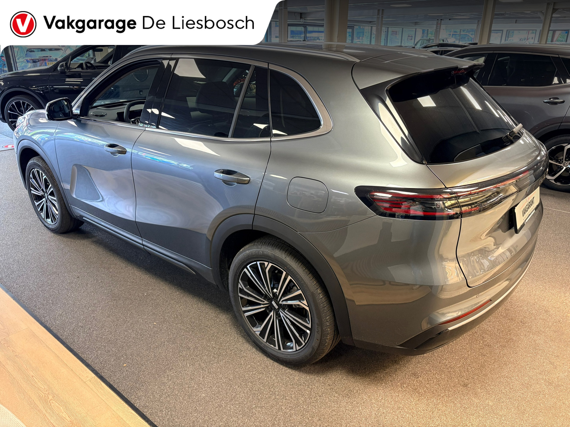 Foto van Geely Starray Em-i