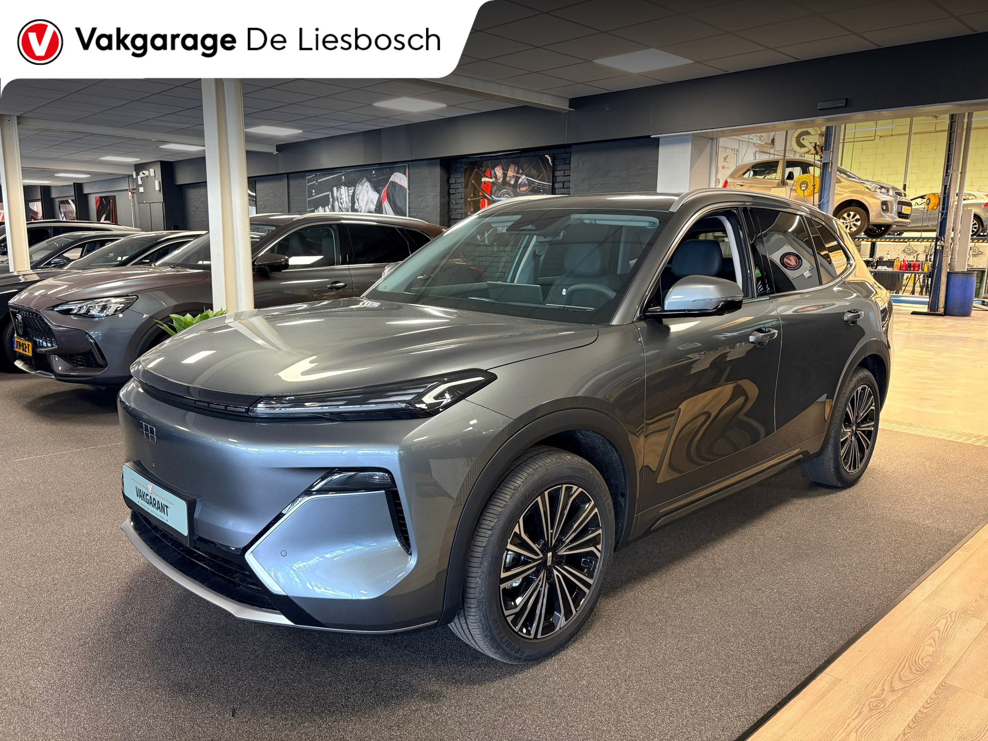 Foto van Geely Starray Em-i