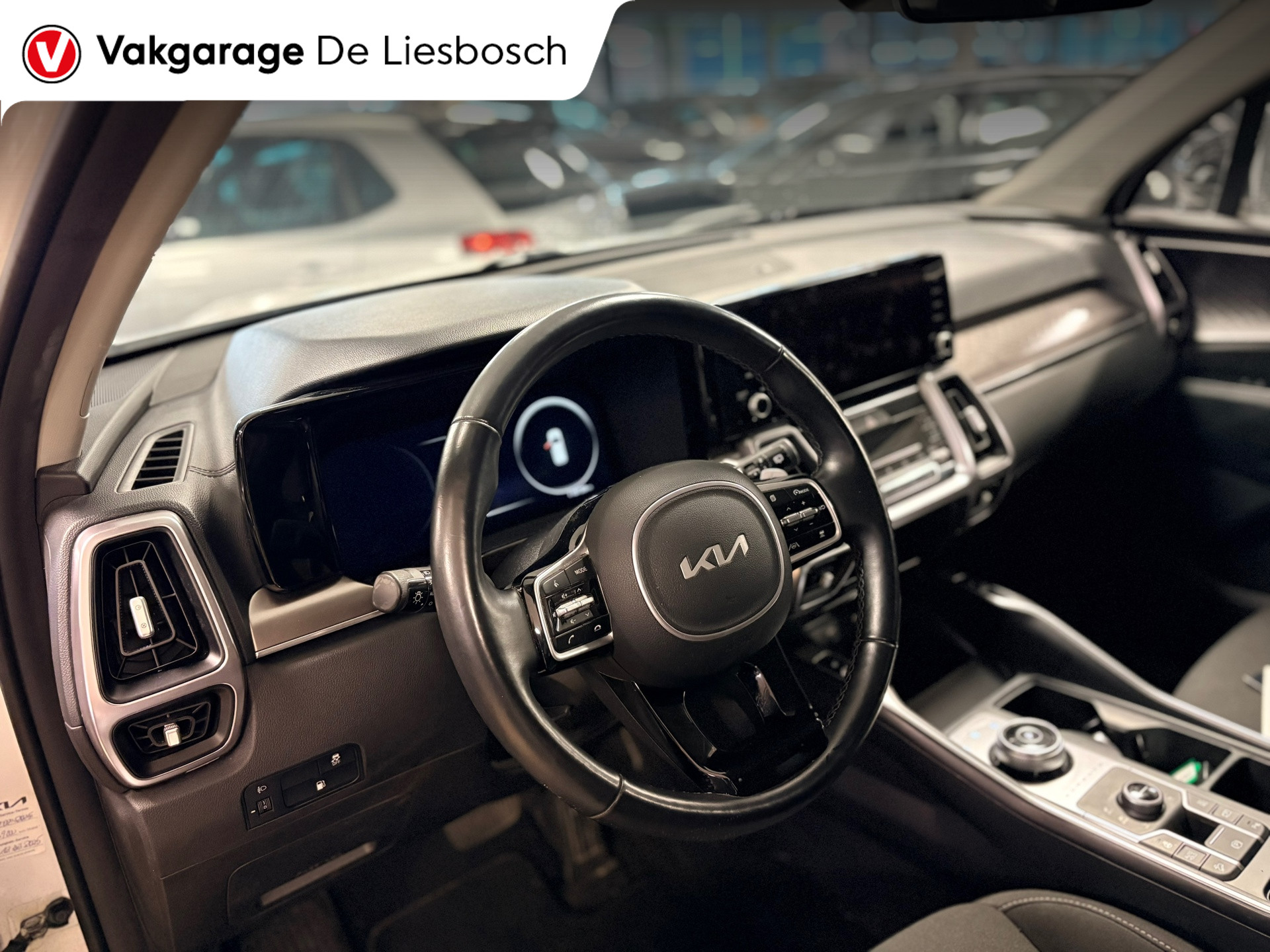 Foto van Kia Sorento